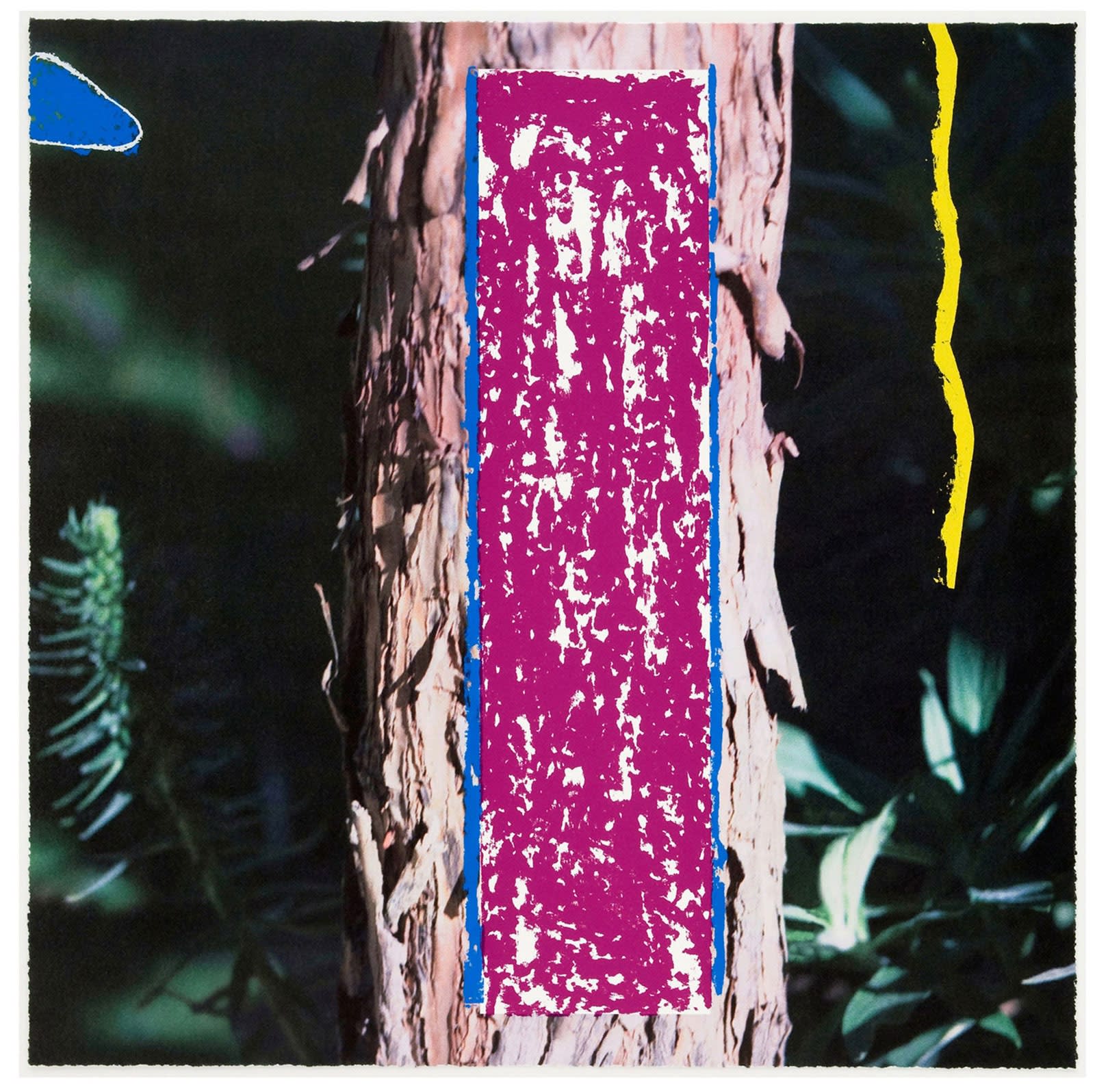 John Baldessari 2326 Third Street, Santa Monica Lithographie couleur avec impression sérigraphique 69,6 x 69,6 cm Dim. papier: 69,6 x 69,6 cm
