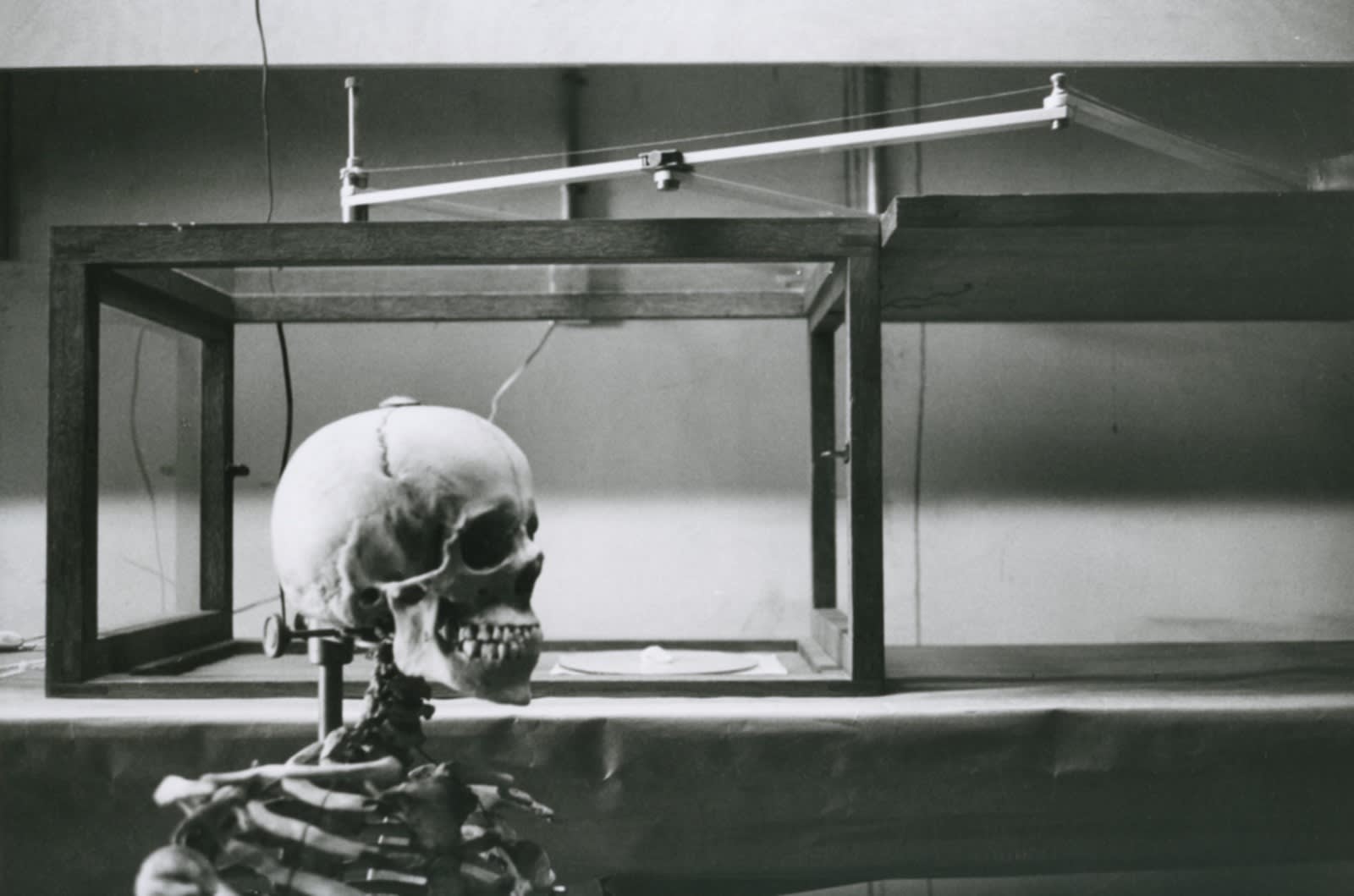 Hervé Guibert, Musée de l'Homme, Paris, 1978