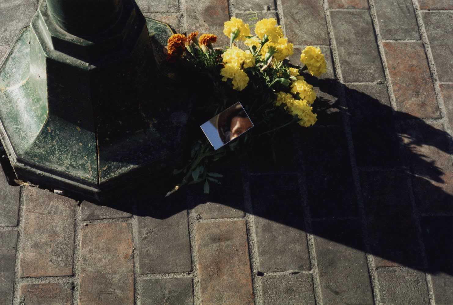 Vivian Maier, Self-portrait, Chicagoland, October 1975
