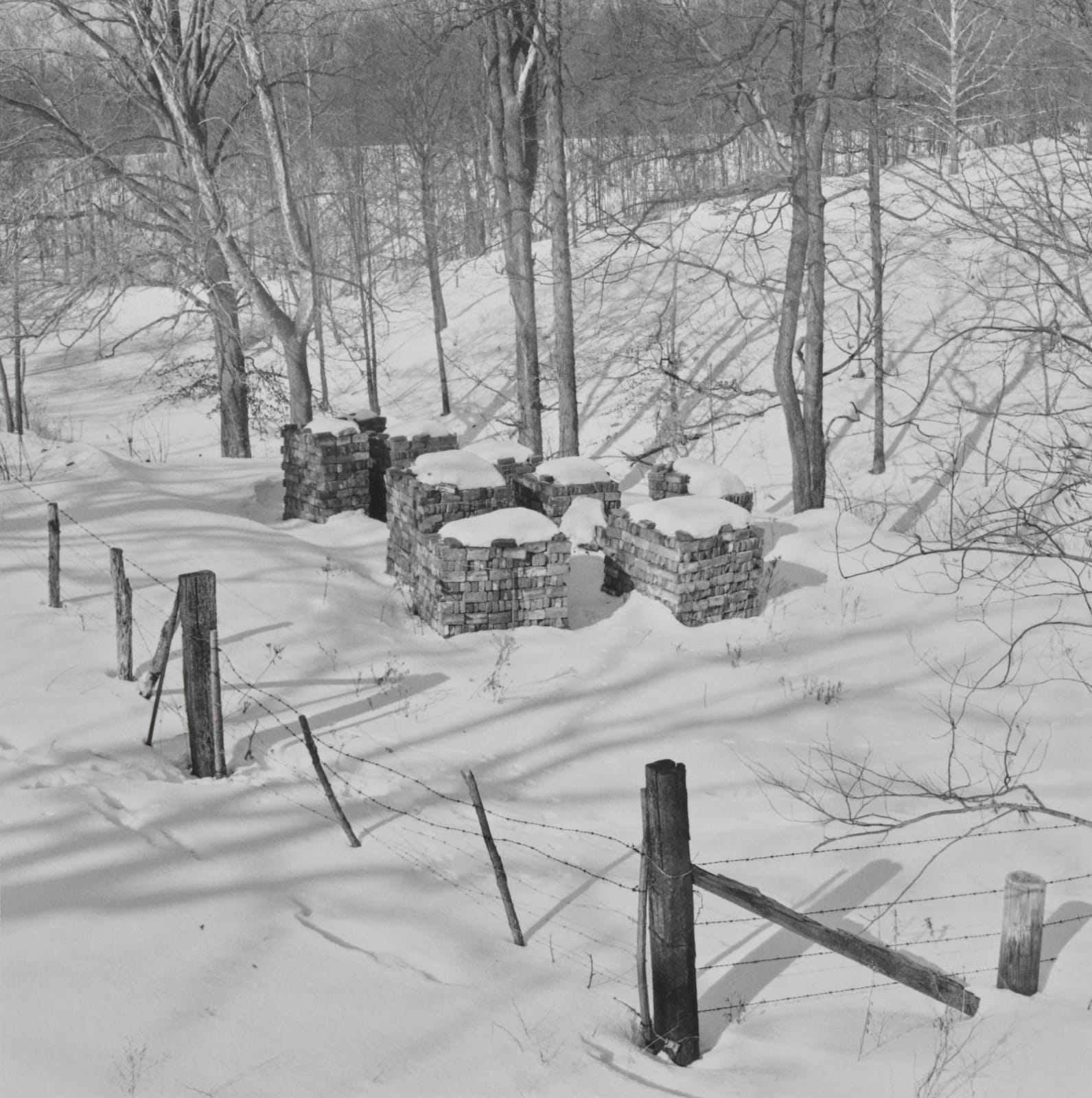 Steven Rifkin, Untitled, Unionville, IN, 1977