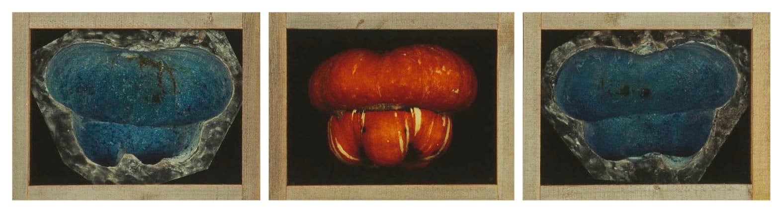 Pascal Kern, Nature, 1990