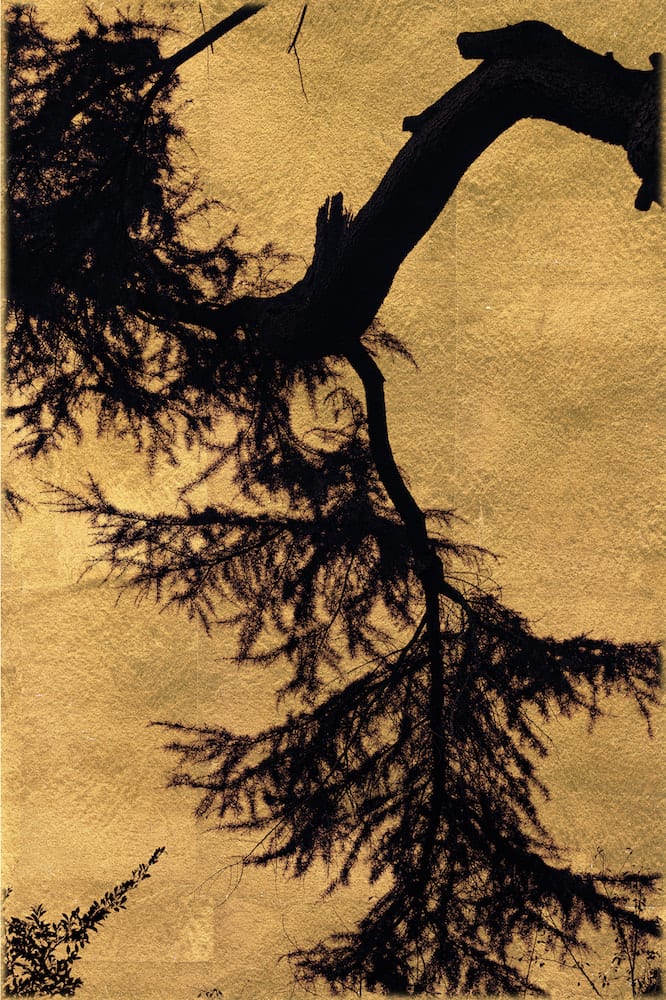 Albarrán Cabrera, The Mouth of Krishna #942, 2019