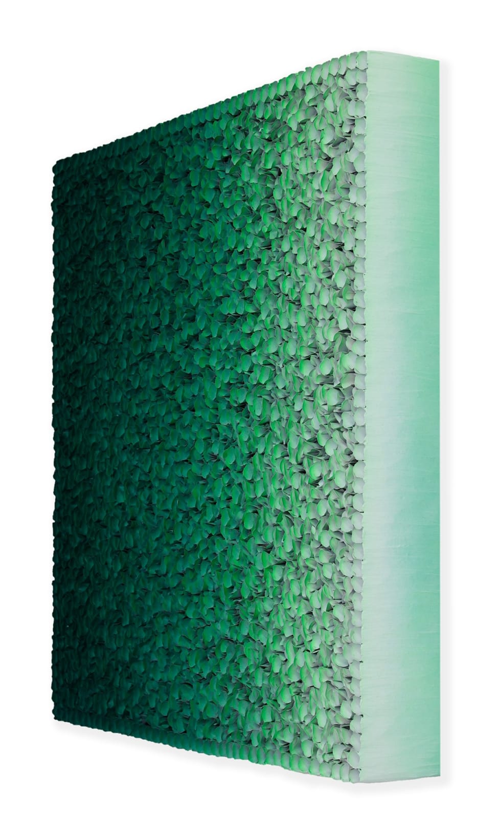 Zhuang Hong Yi, Forest Splendour, 2024