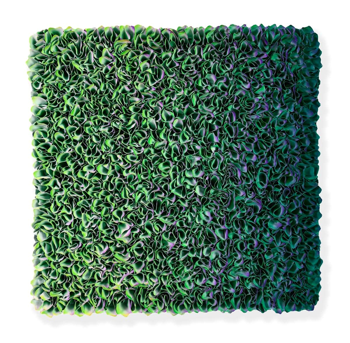 Zhuang Hong Yi, Flower Bloom, 2020