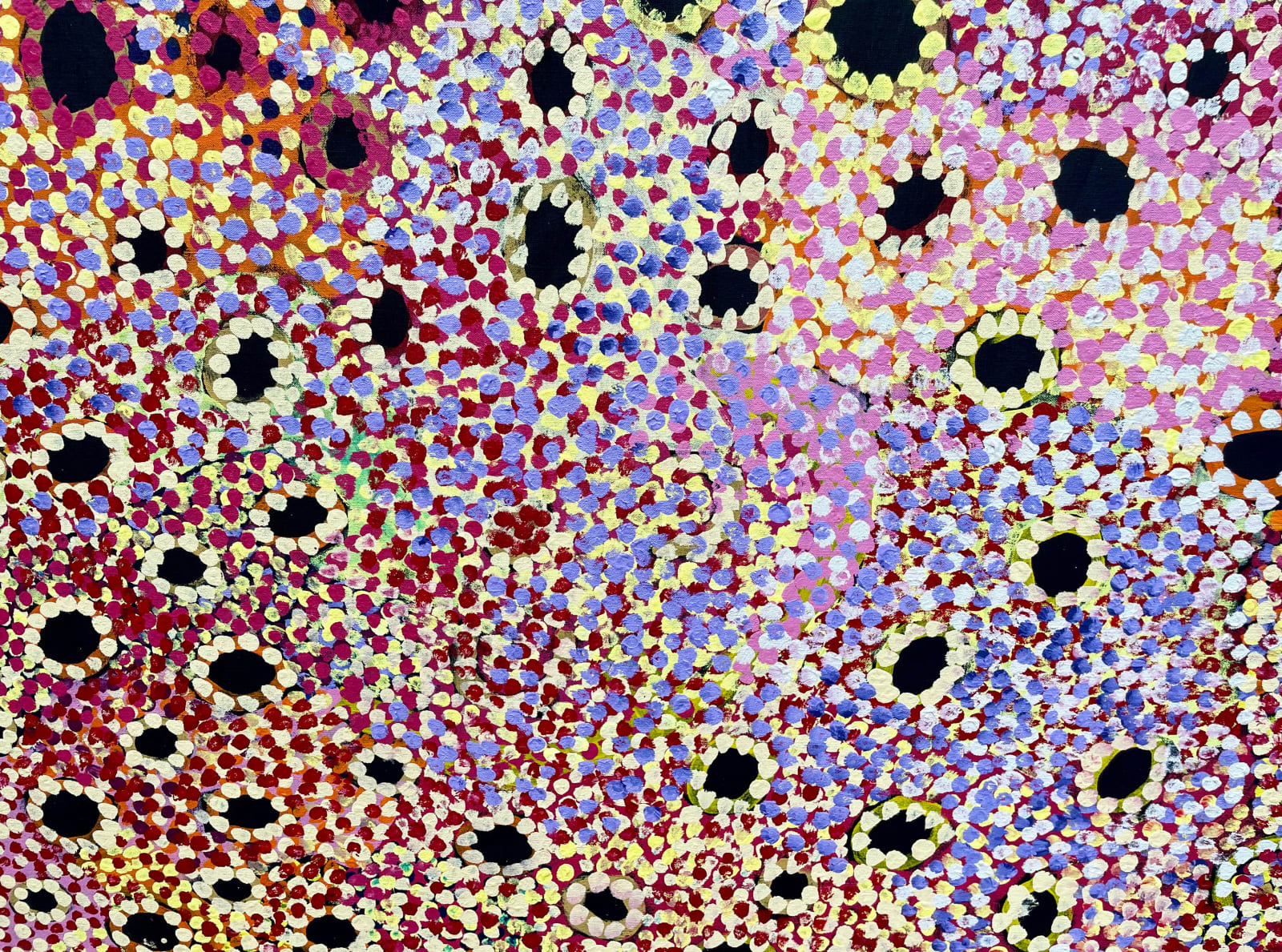 Tuppy Nginya Goodwin, Kunga Kutjara Tjukurrpa, 2011