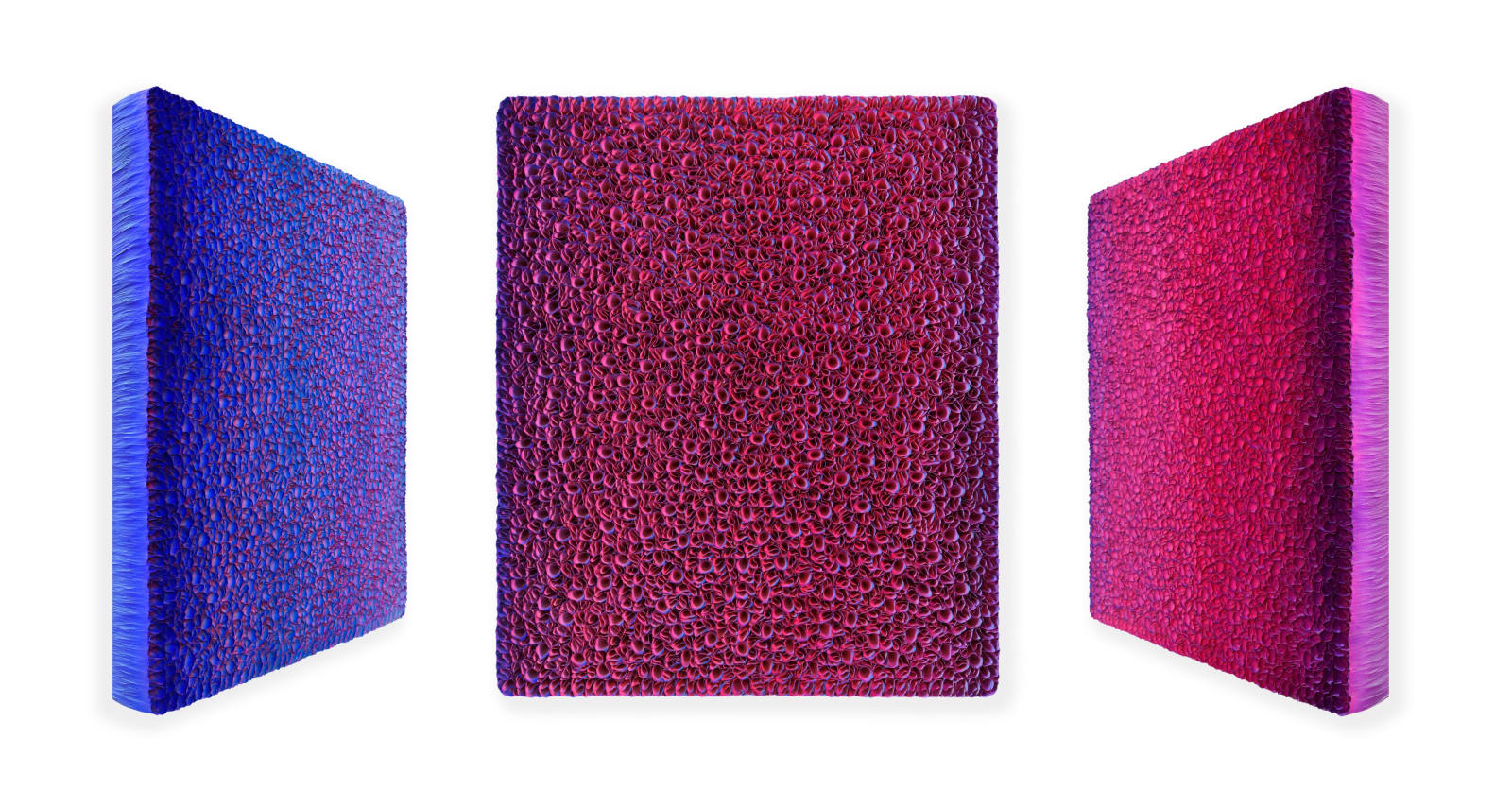 Zhuang Hong Yi, Raspberry Hues, 2023