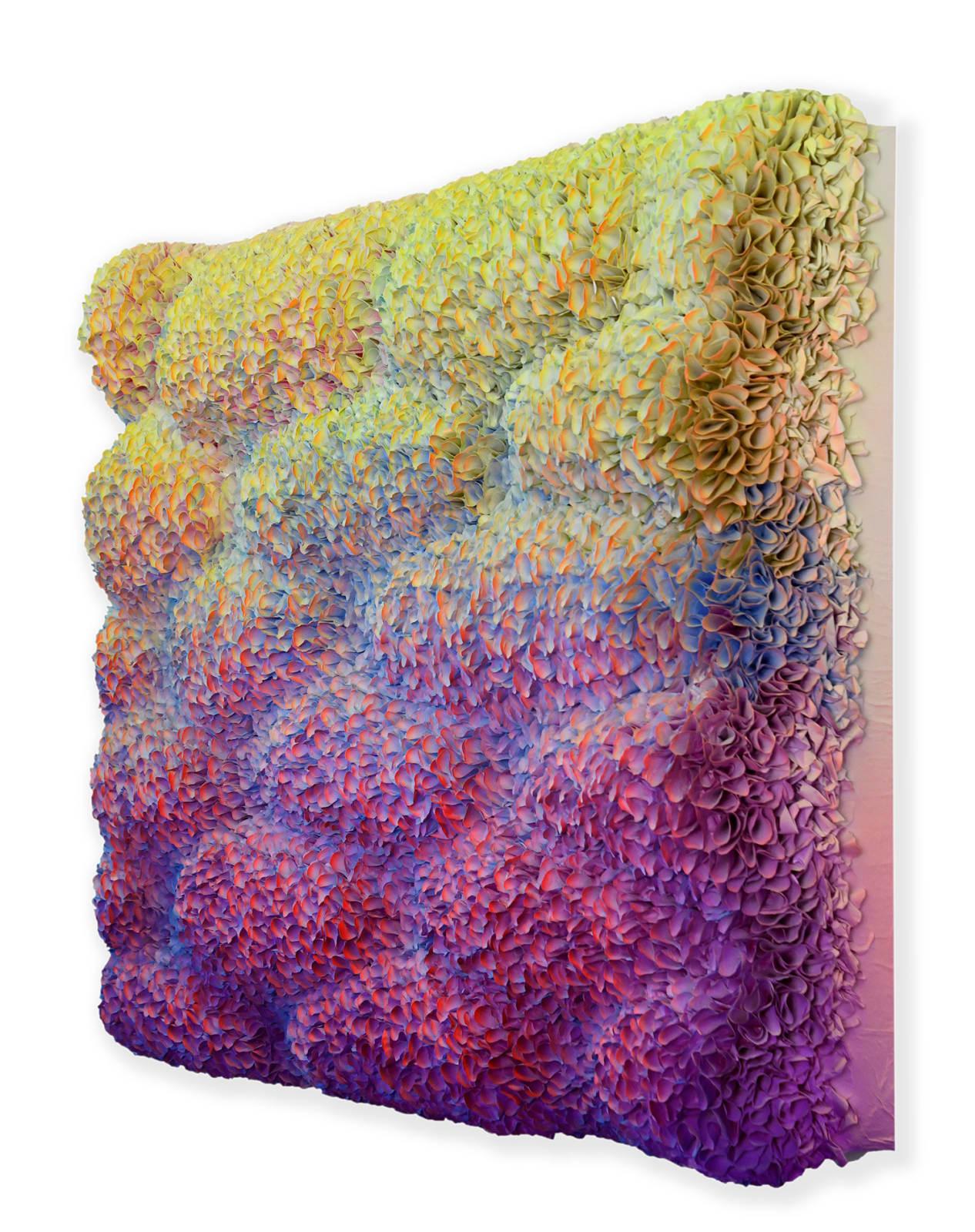 Zhuang Hong Yi, Bubblegum, 2025
