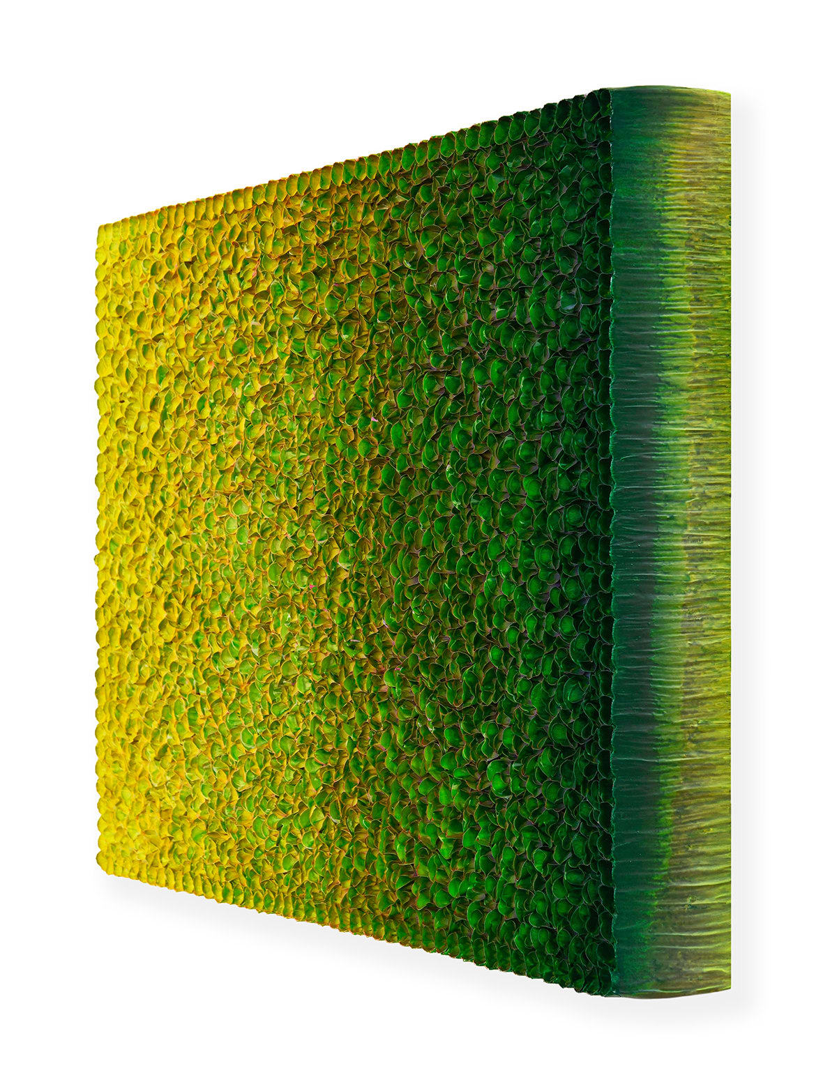 Zhuang Hong Yi, Golden Resonance, 2025