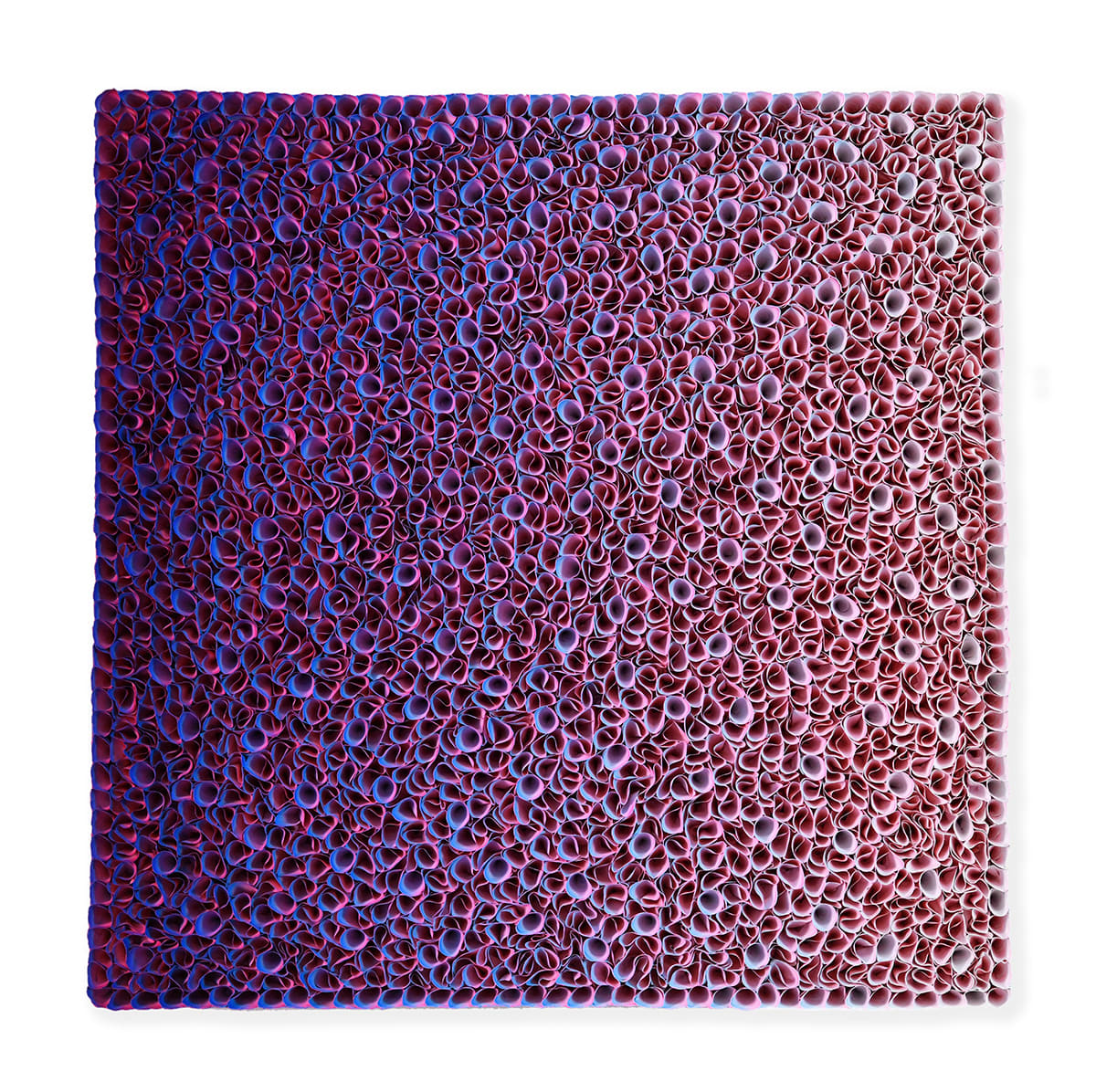 Zhuang Hong Yi, New Melody, 2025