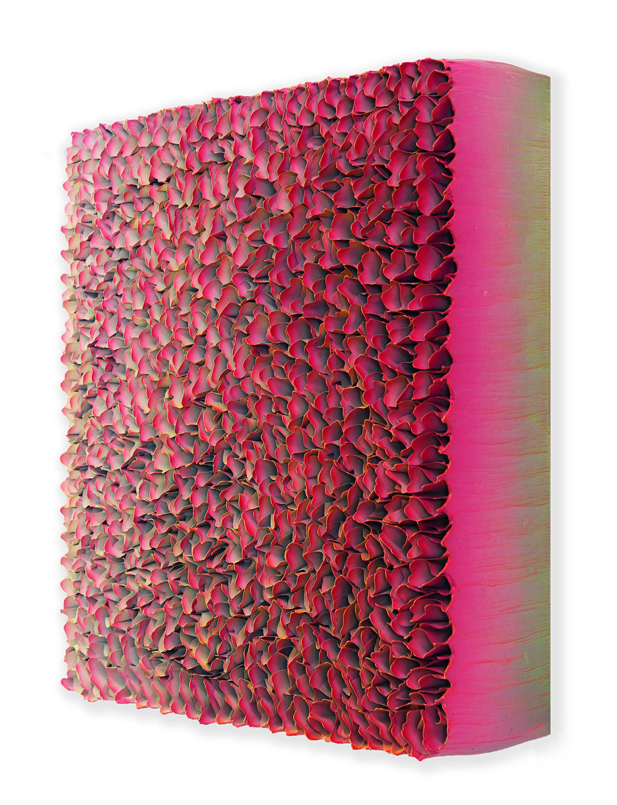 Zhuang Hong Yi, Sunlit Petals, 2025