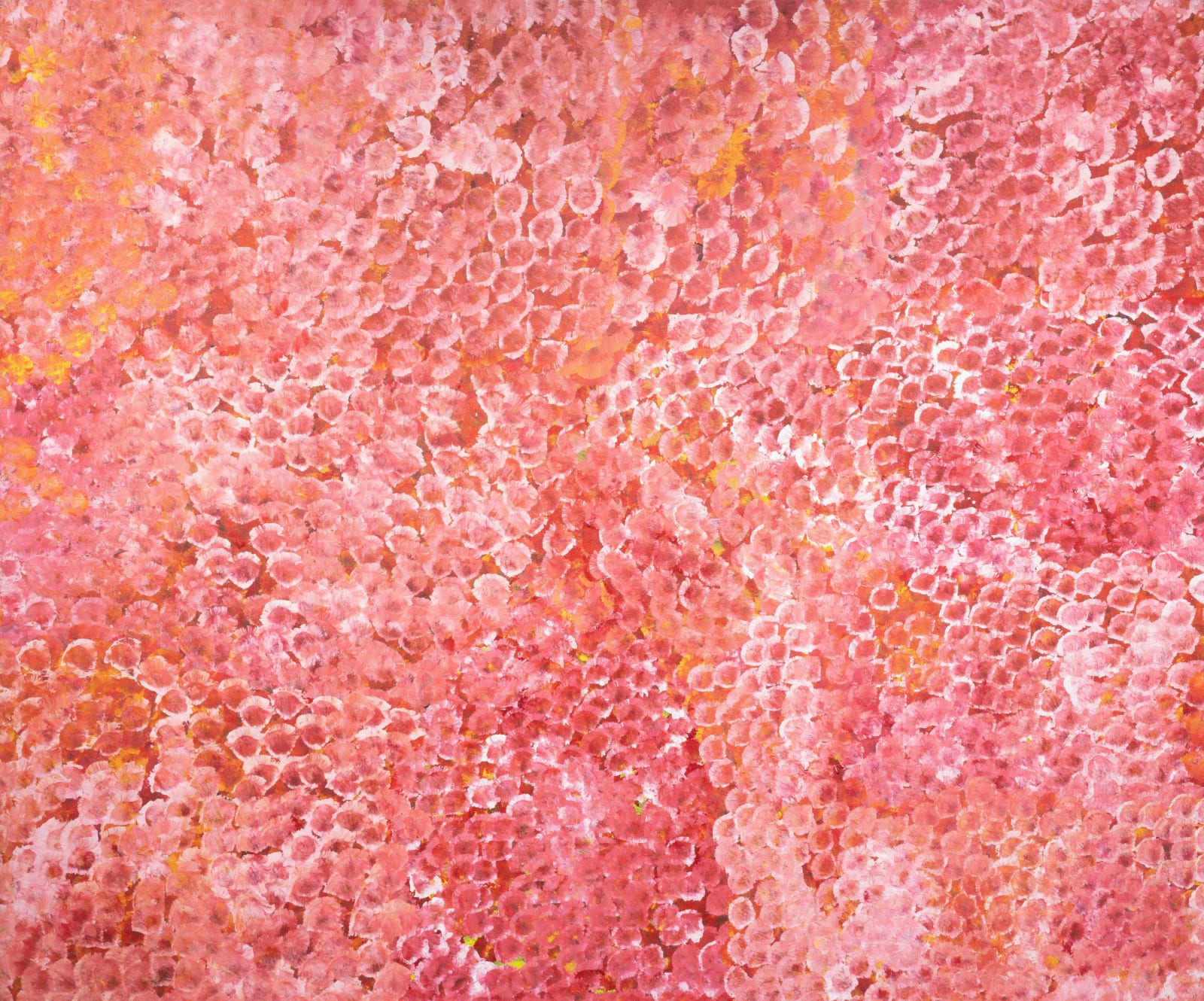 Emily Kam Kngwarray, Alhalkere, My Country, 1995