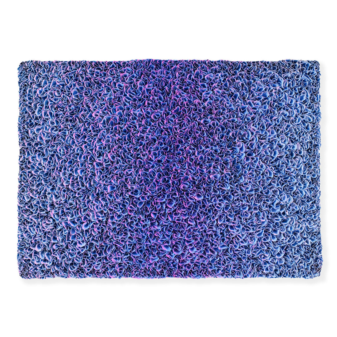 Zhuang Hong Yi, Violet Dreams, 2025