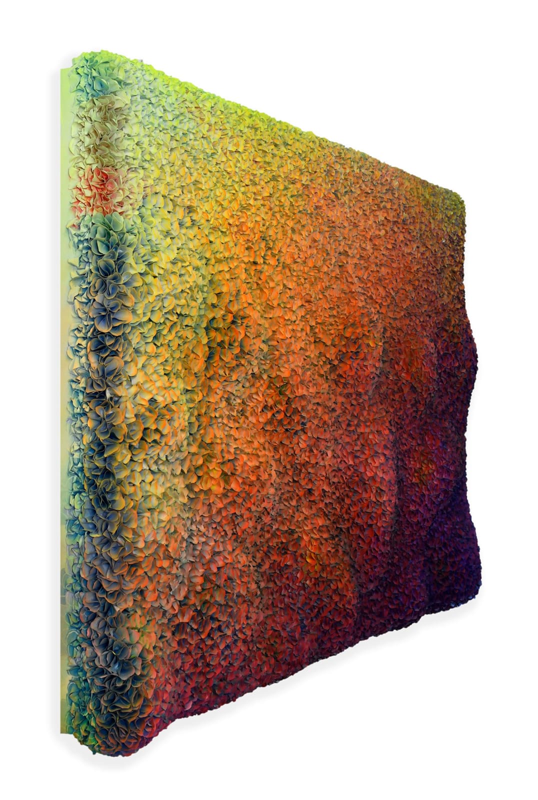 Zhuang Hong Yi, Swirling Petals, 2025