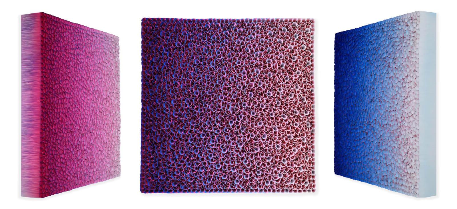 Zhuang Hong Yi, New Melody, 2025