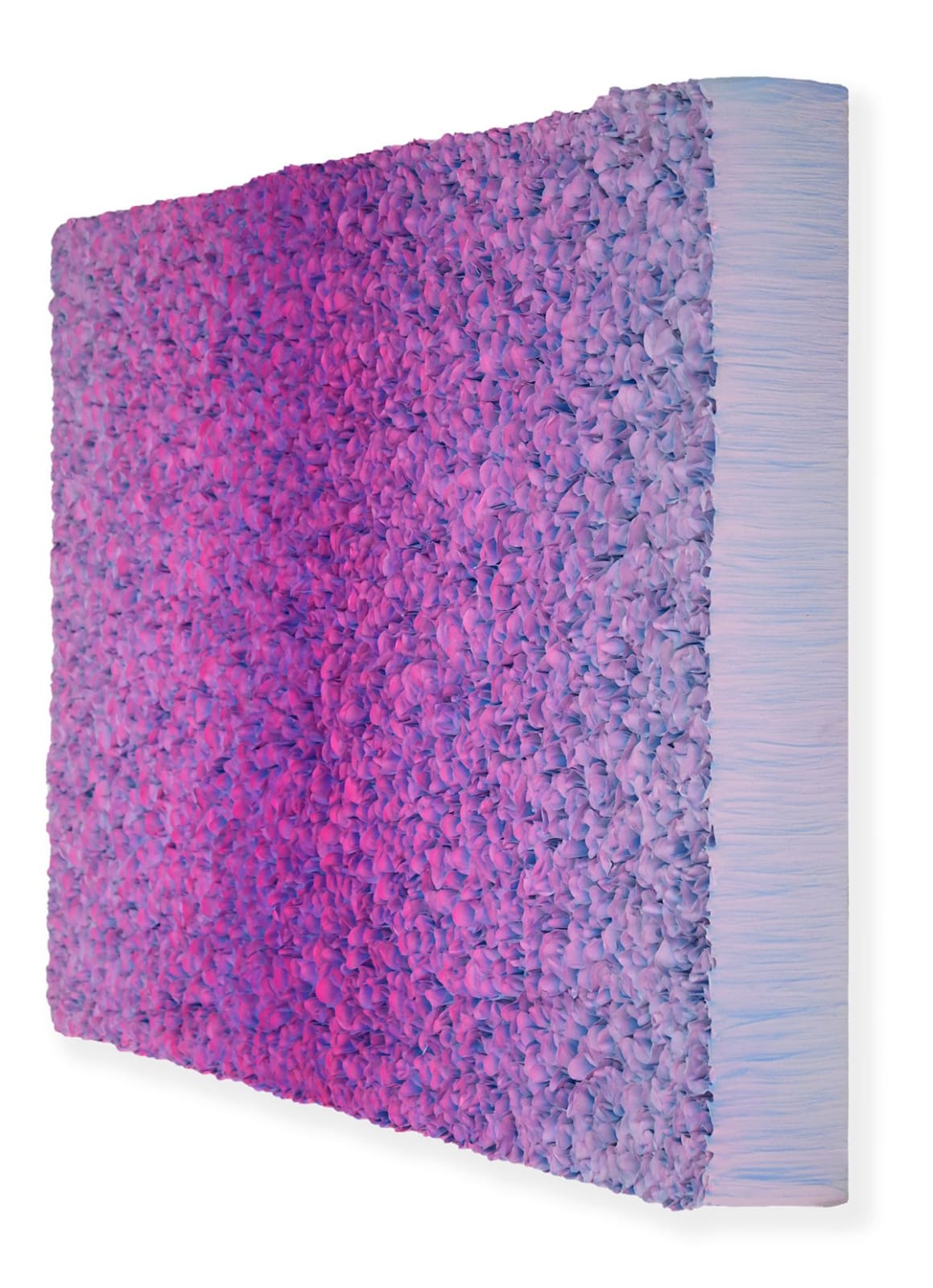 Zhuang Hong Yi, Violet Dreams, 2025