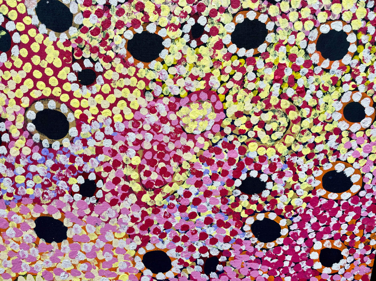 Tuppy Nginya Goodwin, Kunga Kutjara Tjukurrpa, 2011