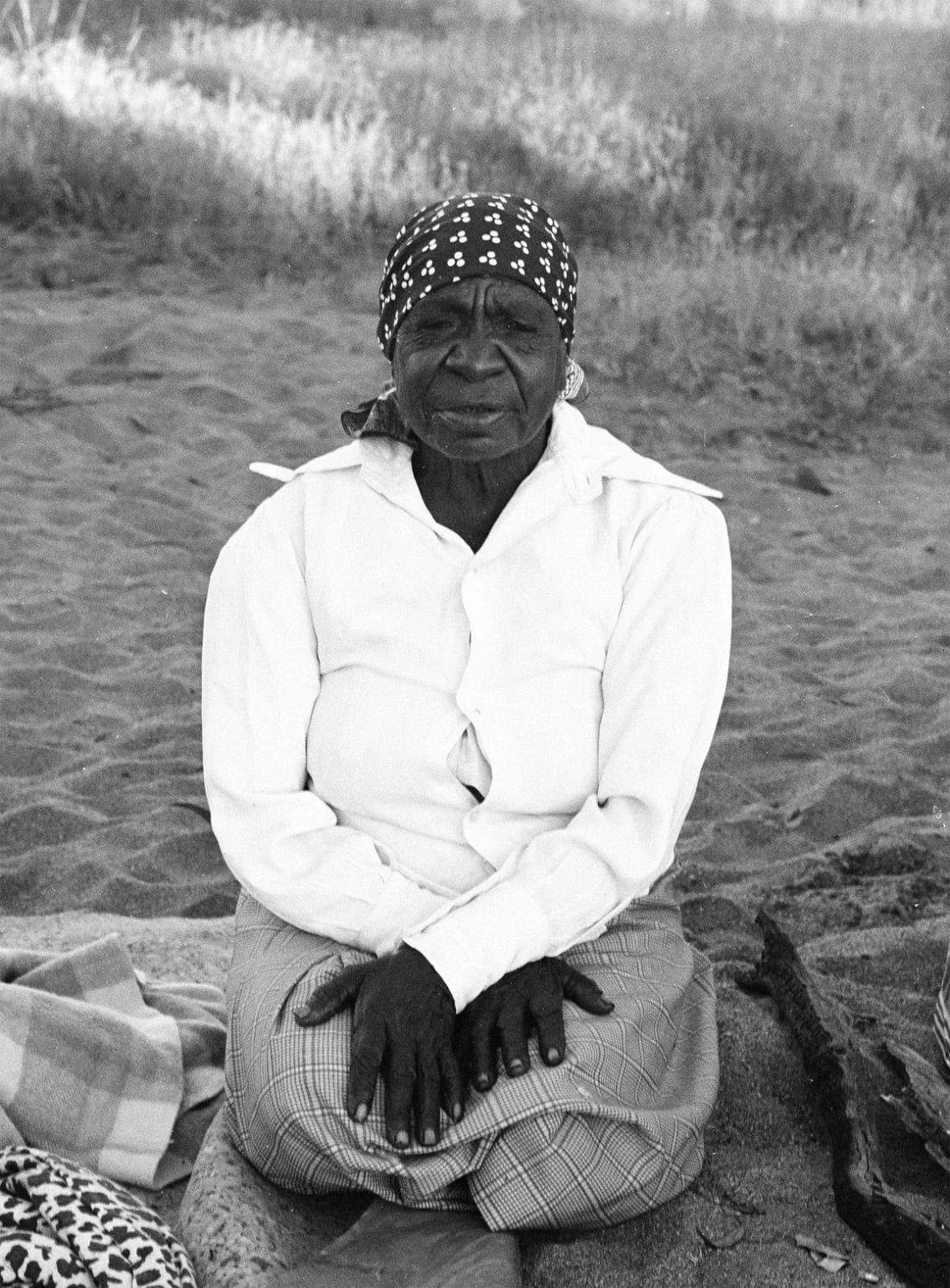 Emily Kame Kngwarreye, Request full overview of available works by Emily Kam Kngwarray