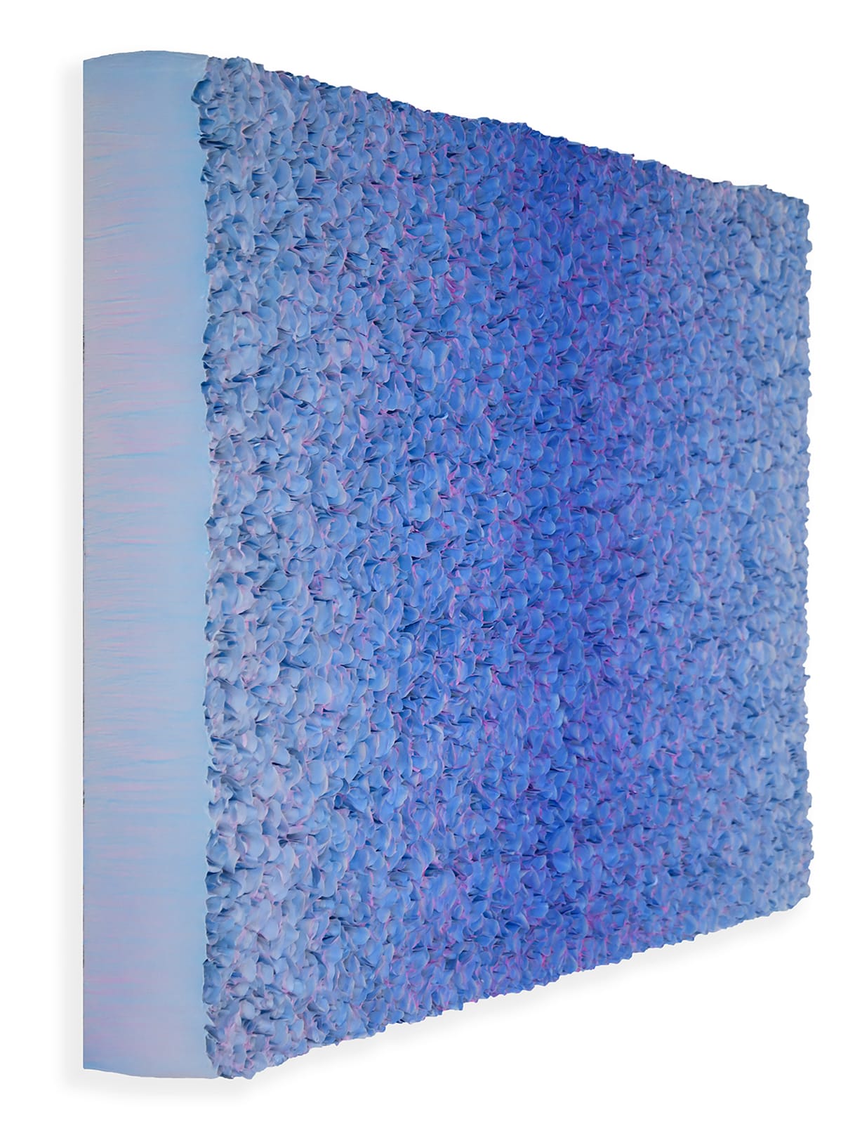 Zhuang Hong Yi, Violet Dreams, 2025