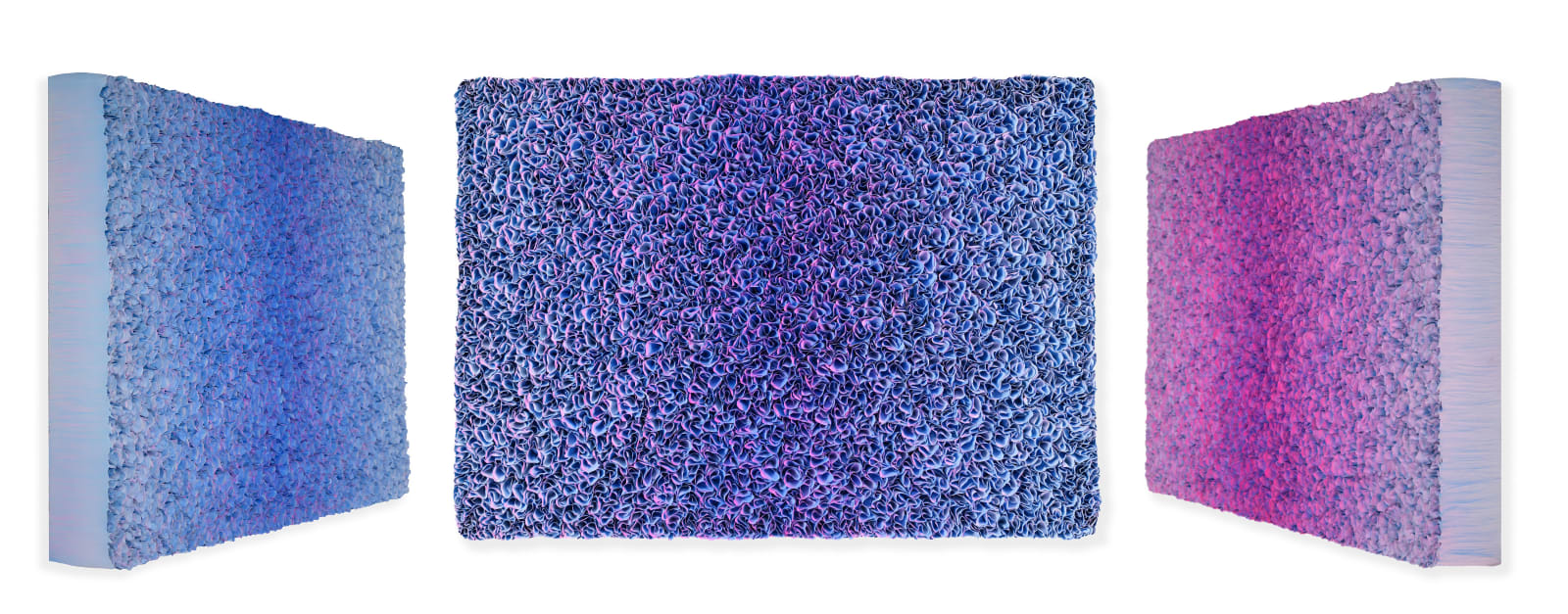 Zhuang Hong Yi, Violet Dreams, 2025