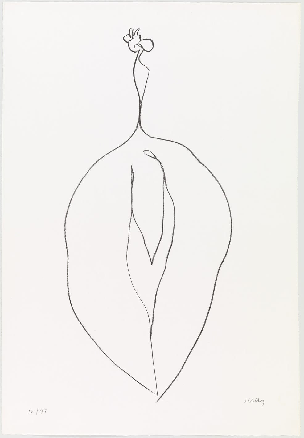 Ellsworth Kelly, Seaweed (Algue) , 1965