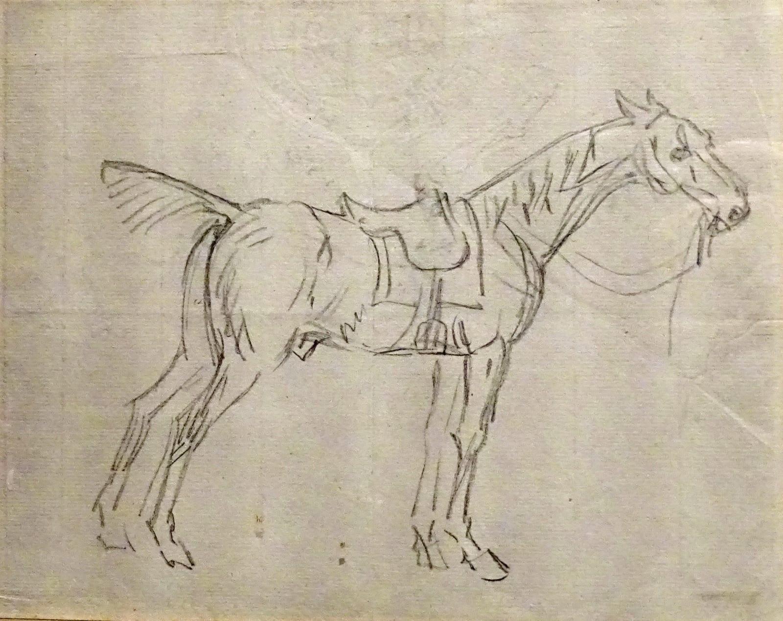 James Seymour, A saddled horse