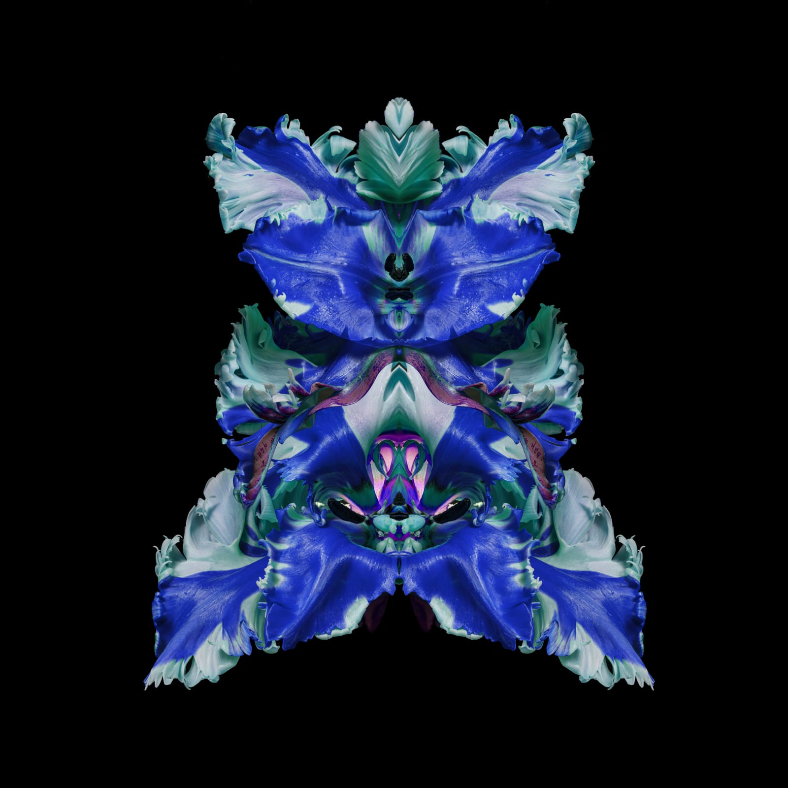 Jeff Robb, Regina Saigon