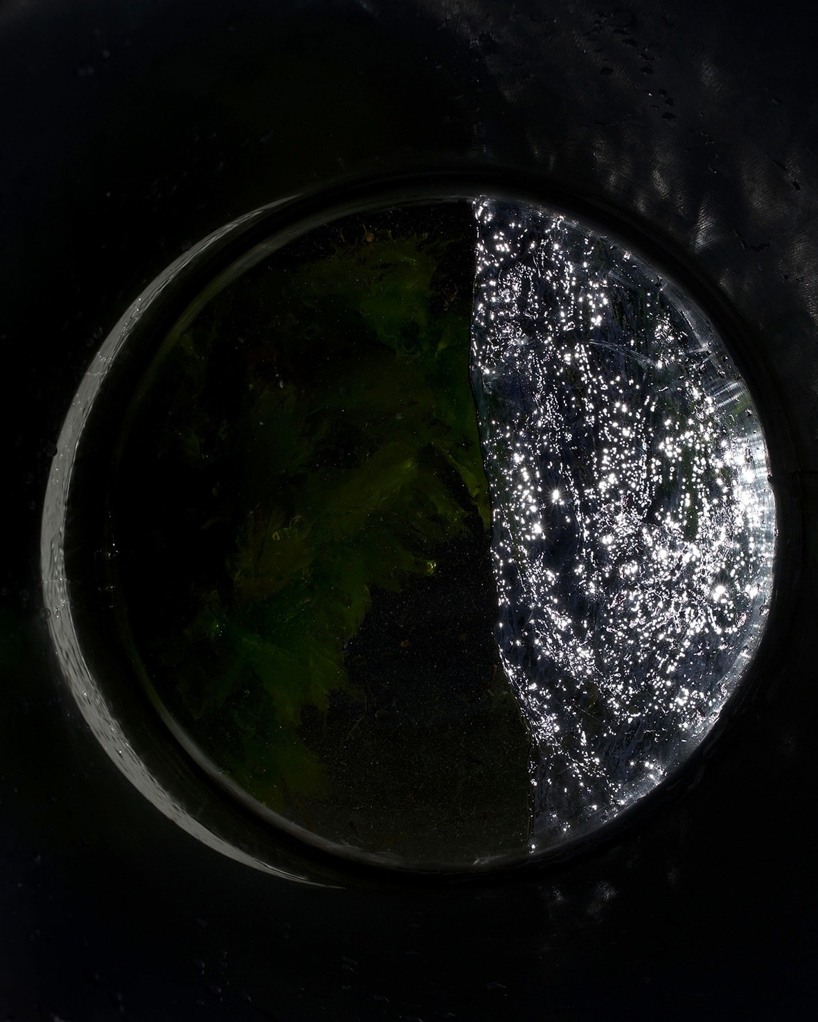 Camille Pradon, Miroir #2, 2023