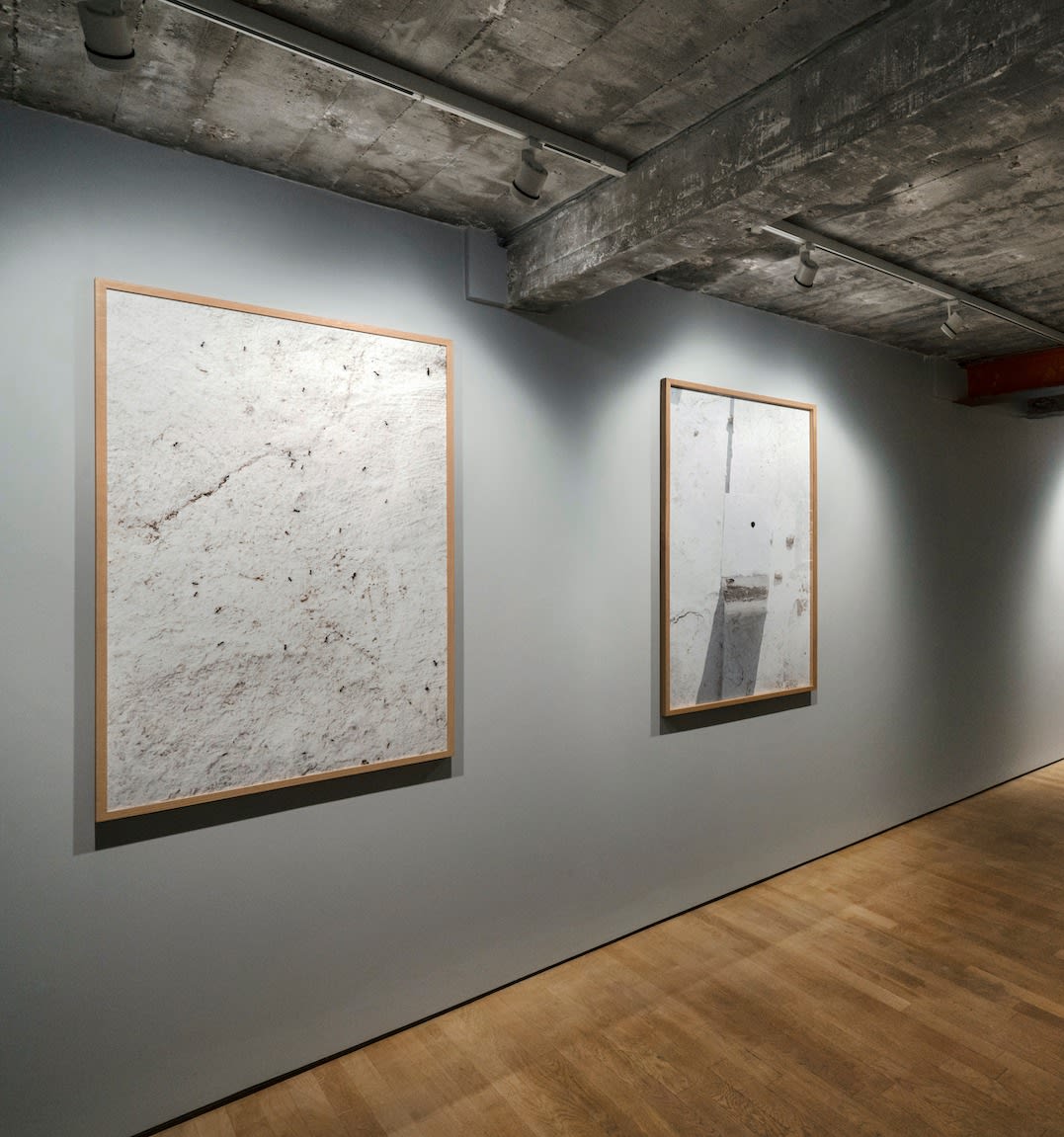 Camille Pradon, Pierre de veille #2, 2022