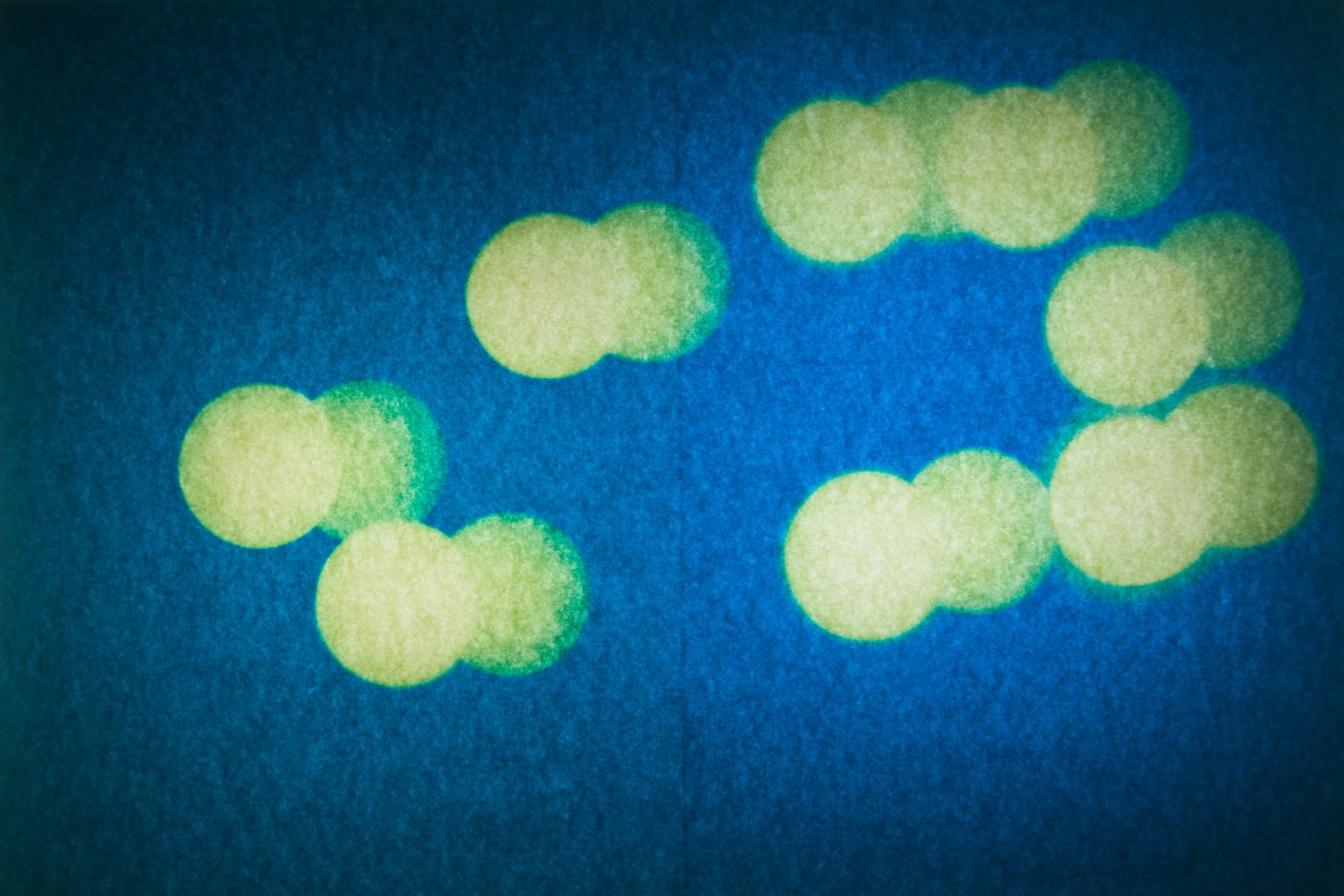 Fakhri El Ghezal, Constellation 008, 2023