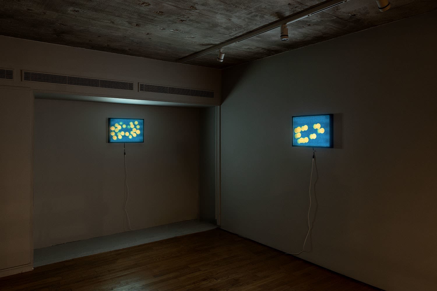 Fakhri El Ghezal, Constellation 02, 2023