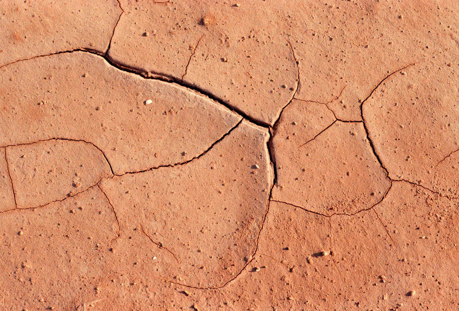 Camille Pradon, Approche de la parole #3, 2023