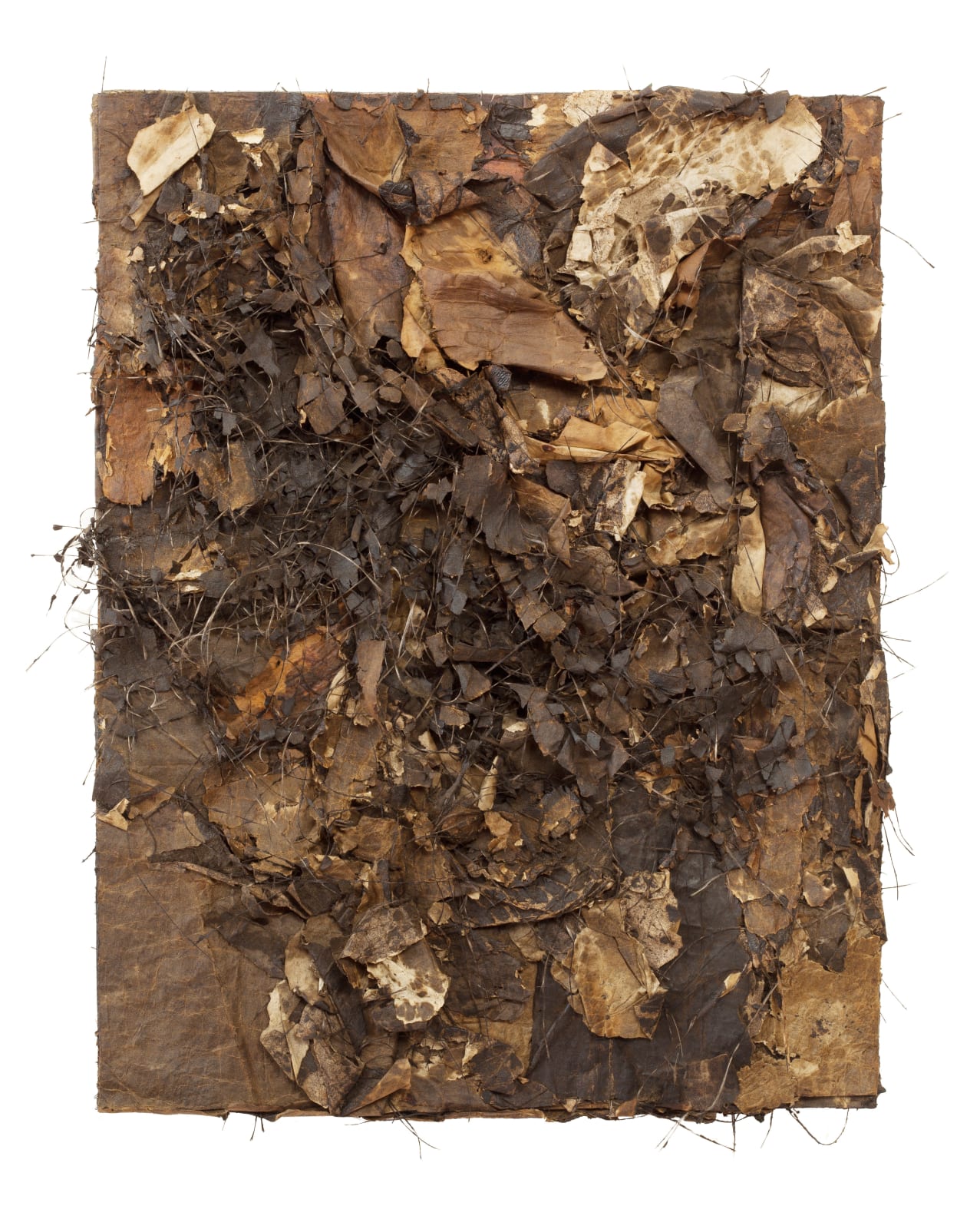 Gene Hedge, Untitled