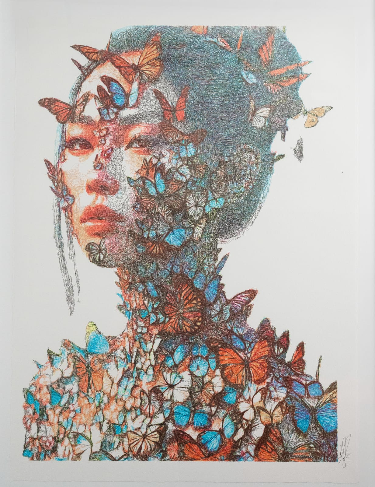 Lingua, Butterflies, 2024