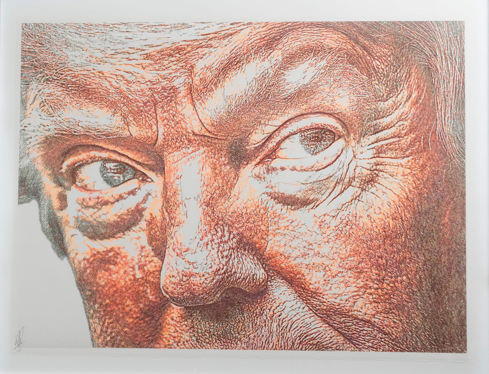 Lingua, President Donald Trump Close Up, 2024