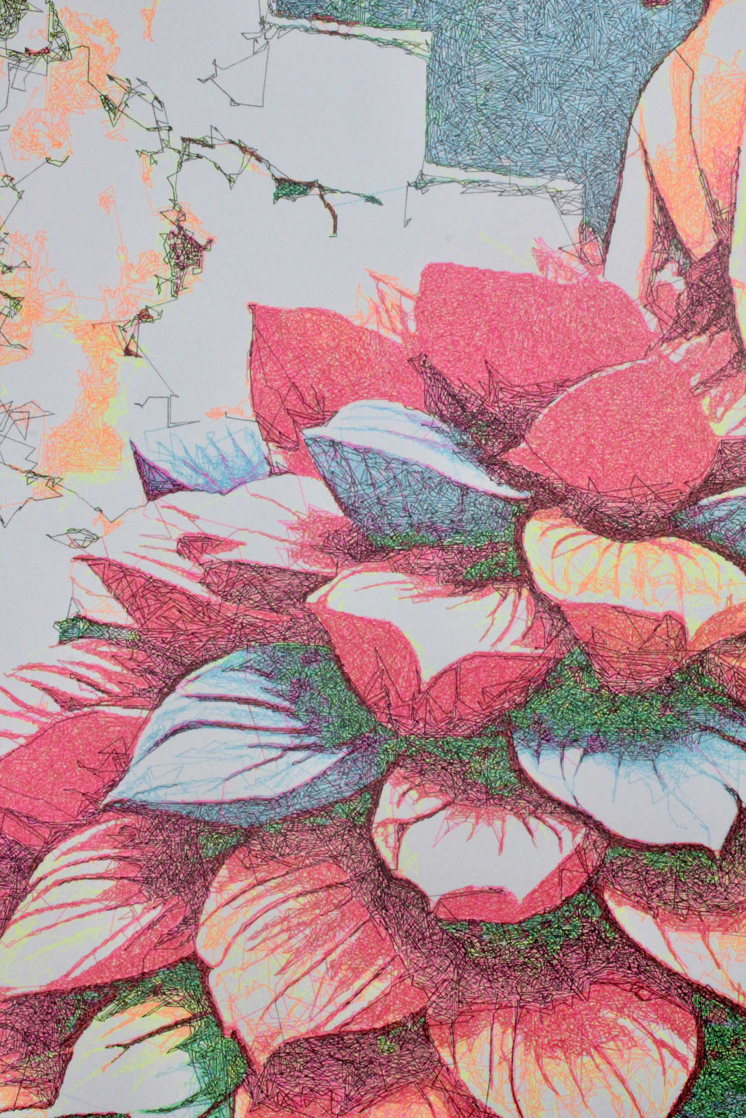Lingua, Floral Grace, 2025
