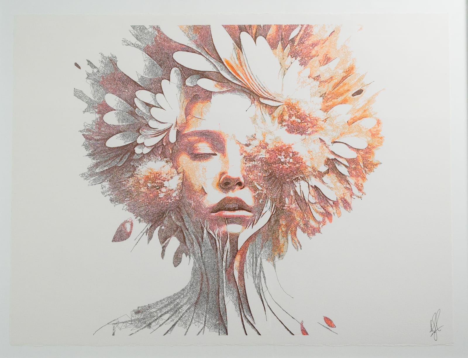 Lingua, Growth, 2024