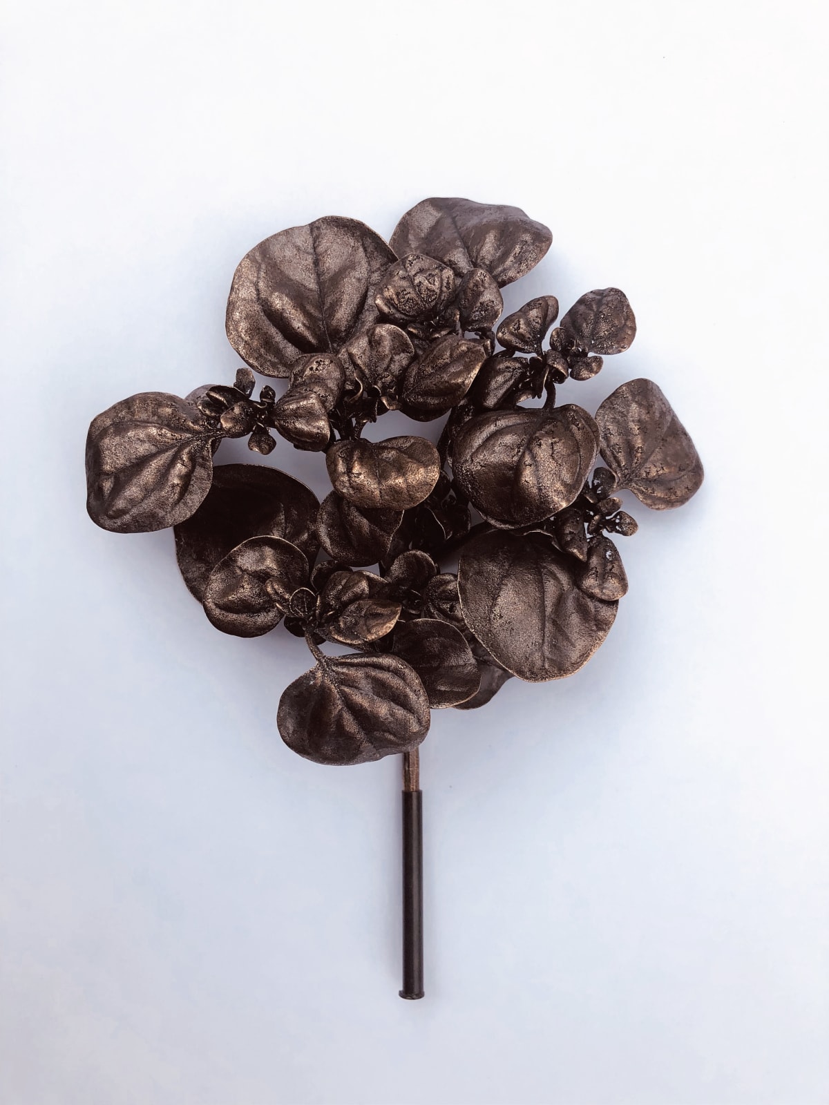 Beverly Penn, LS218 Tidestromia, 2025