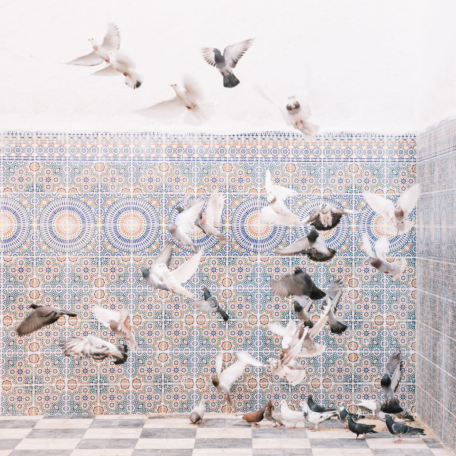 M'hammed Kilito, Aves Pacis, 2018