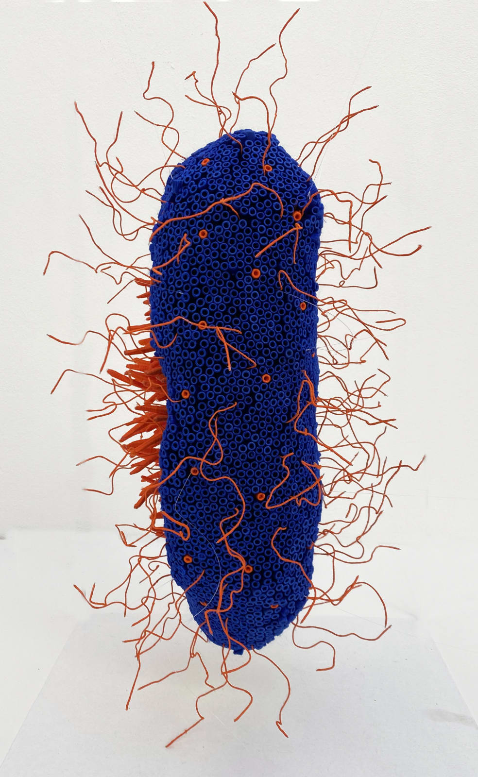 Ghizlane Sahli, M.O.M.S.001, 2020