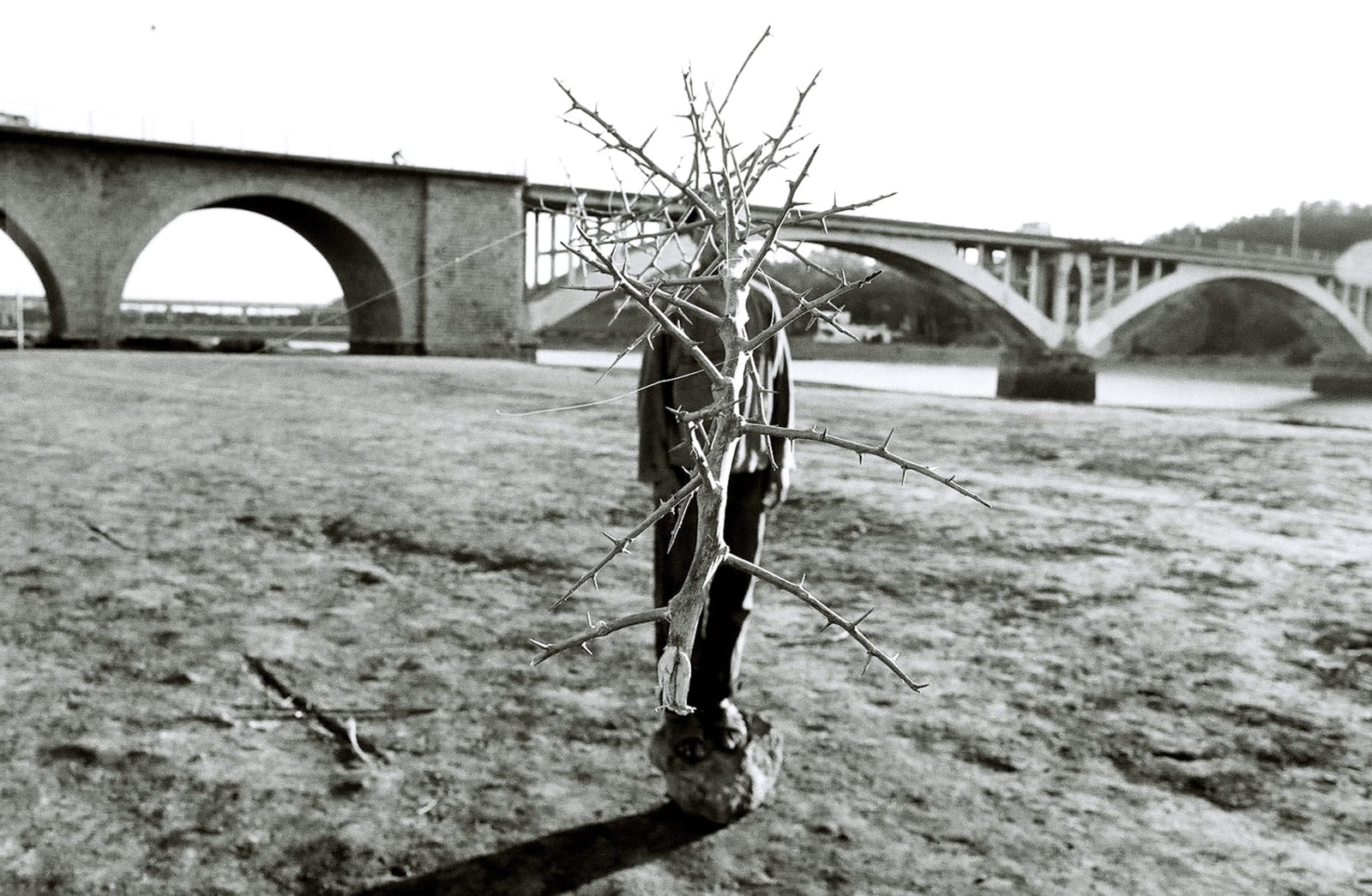 Hicham Benohoud, Untitled, 2007