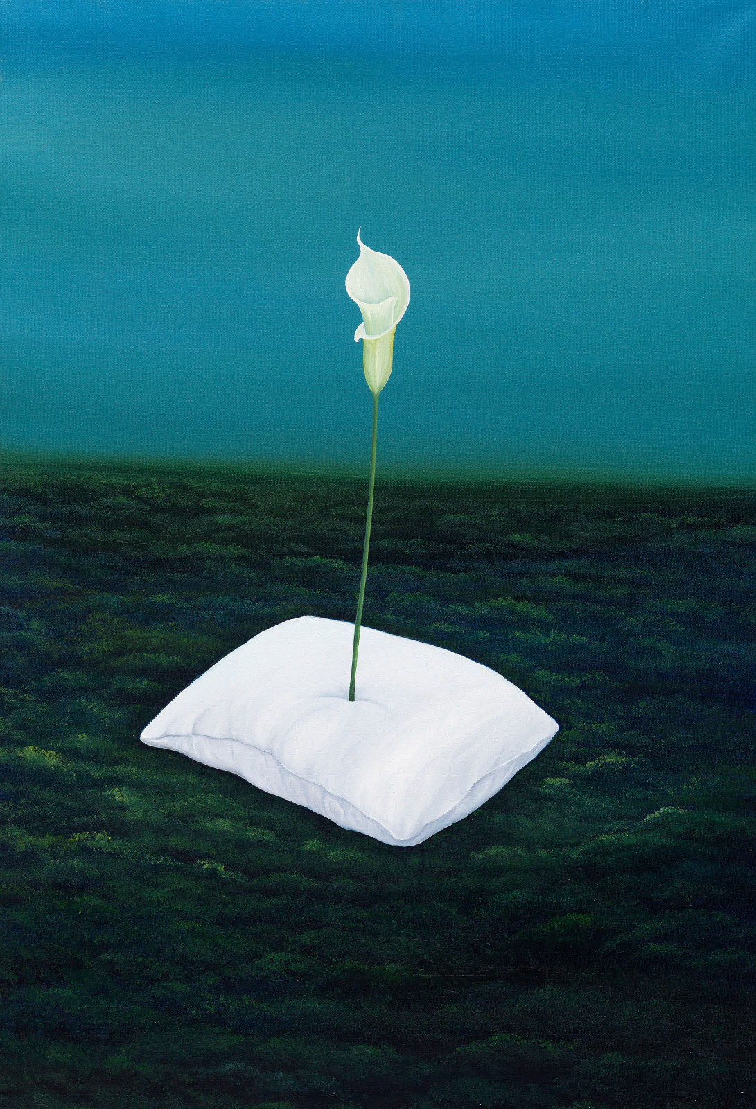 Houda Terjuman, Dreams putting roots, 2022