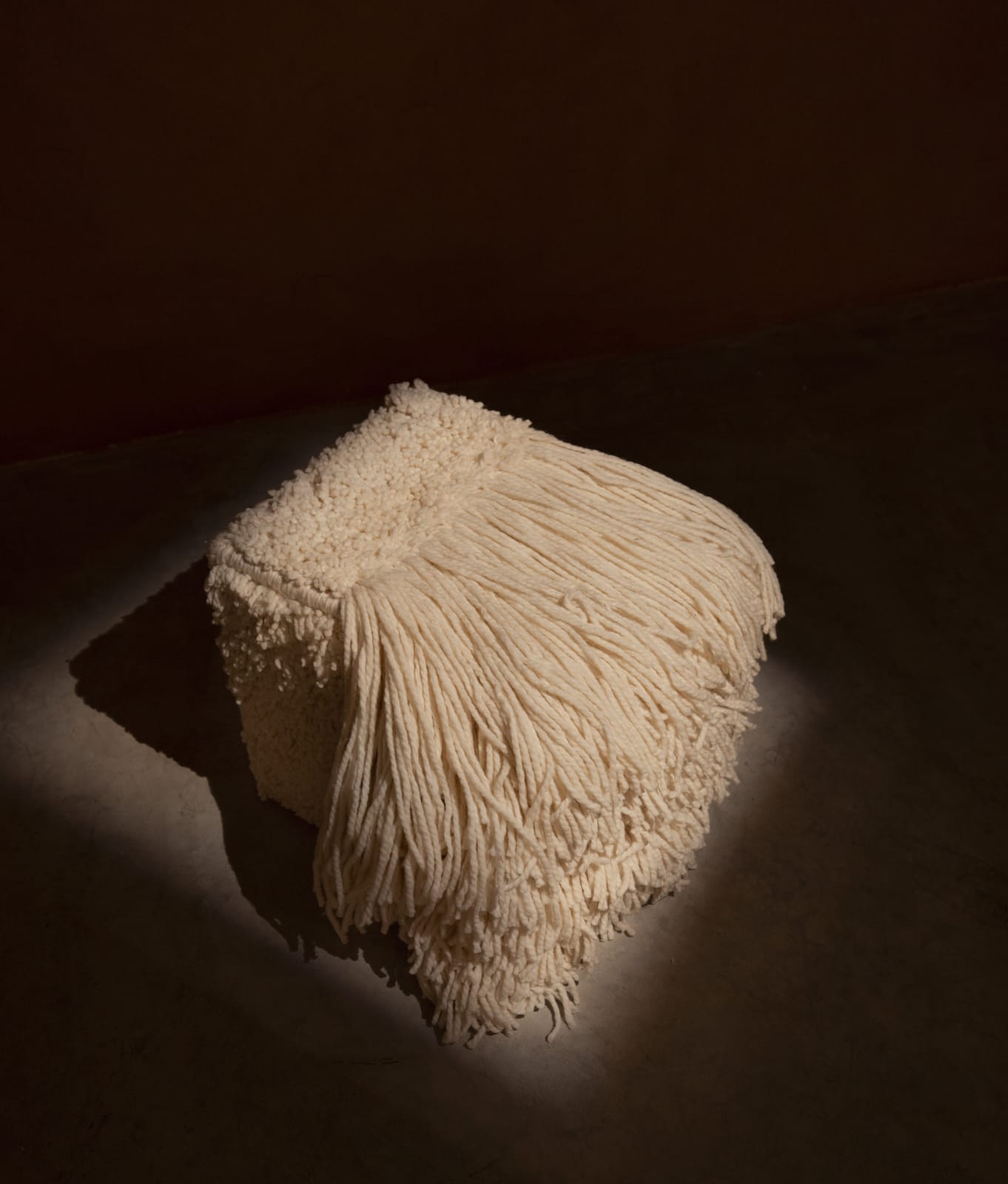 Amina Agueznay, Bestiaire - Variation #4, 2024