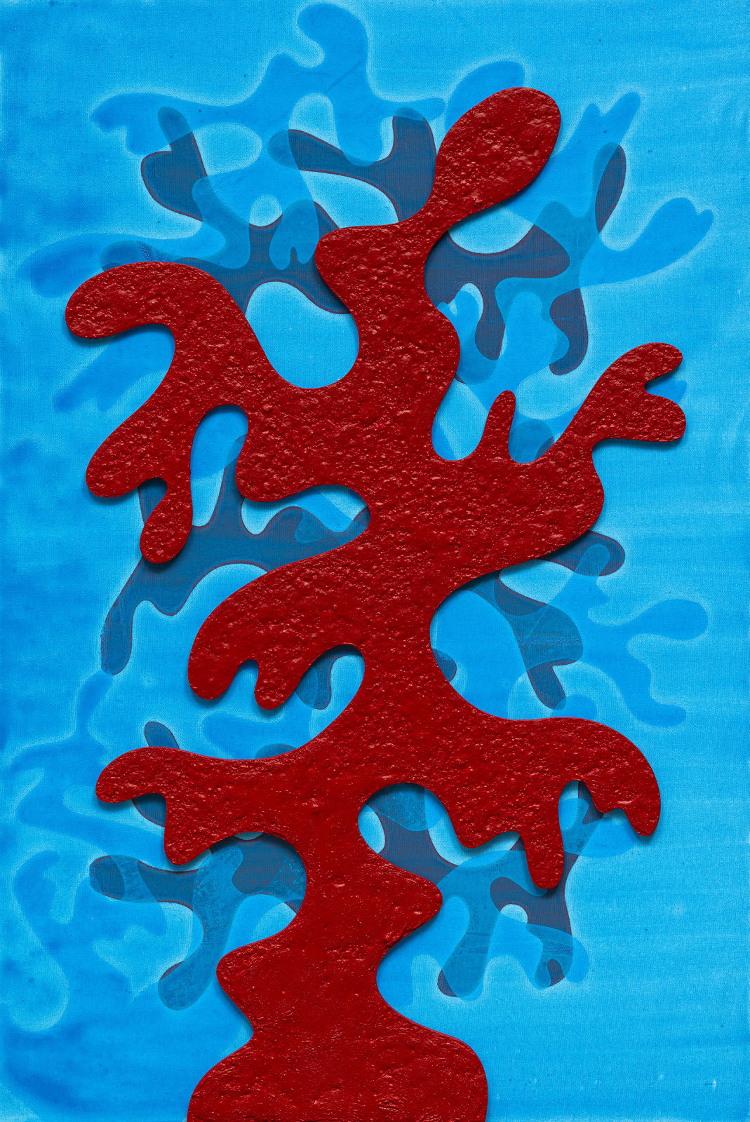 Malika Agueznay, Série Algues Mouvantes, 2025