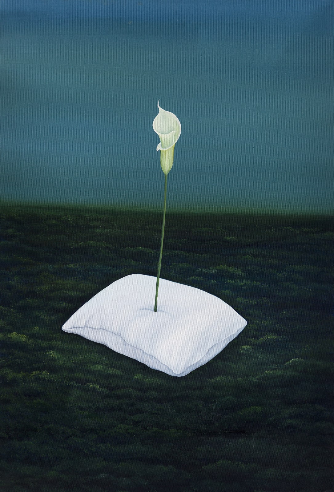 Houda Terjuman, Dreams putting roots, 2022