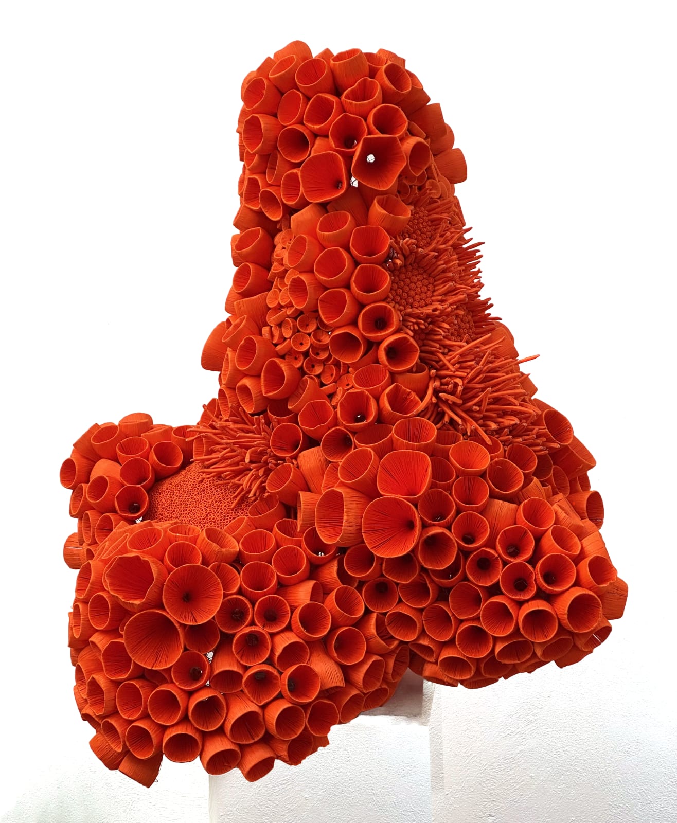 Ghizlane Sahli, M.O.M.S.002, 2020