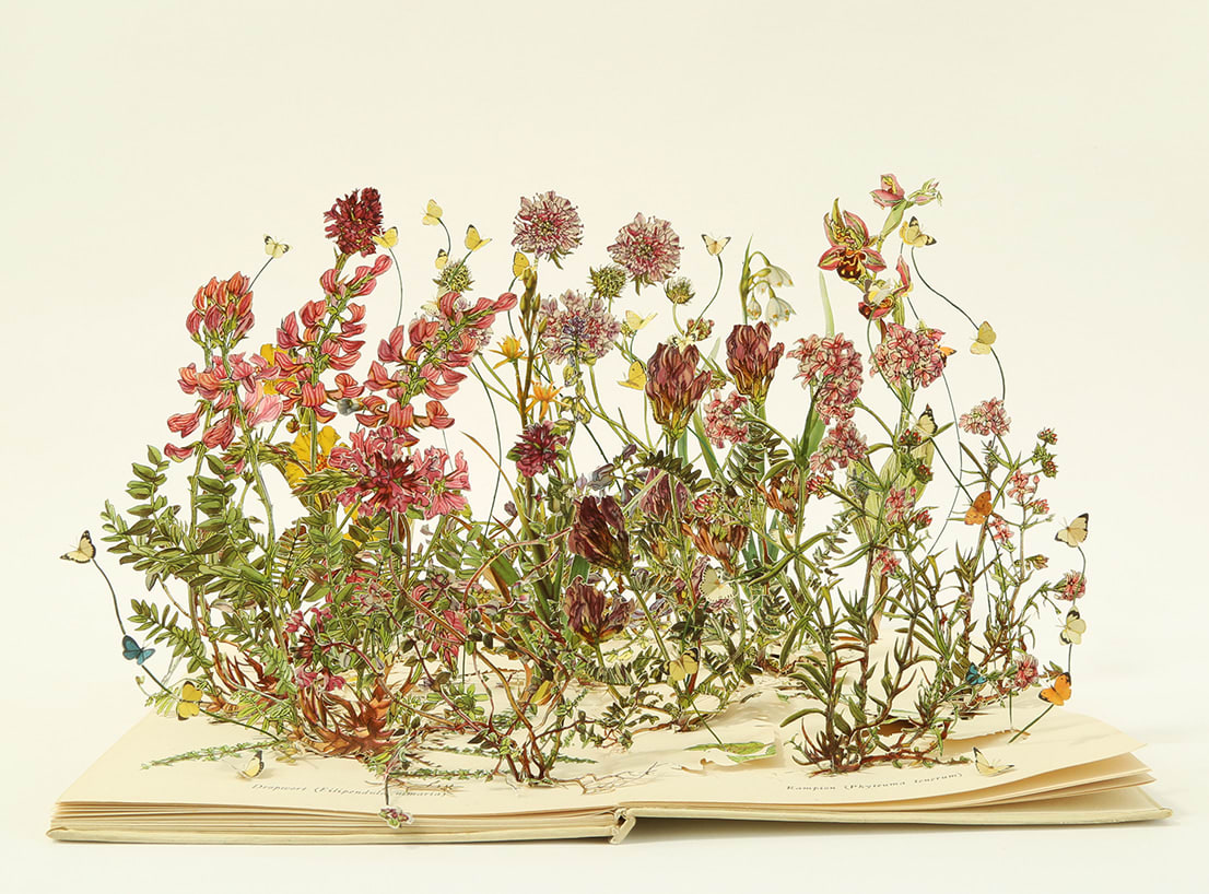 Su Blackwell, Wild Flowers of the Chalk II, 2025