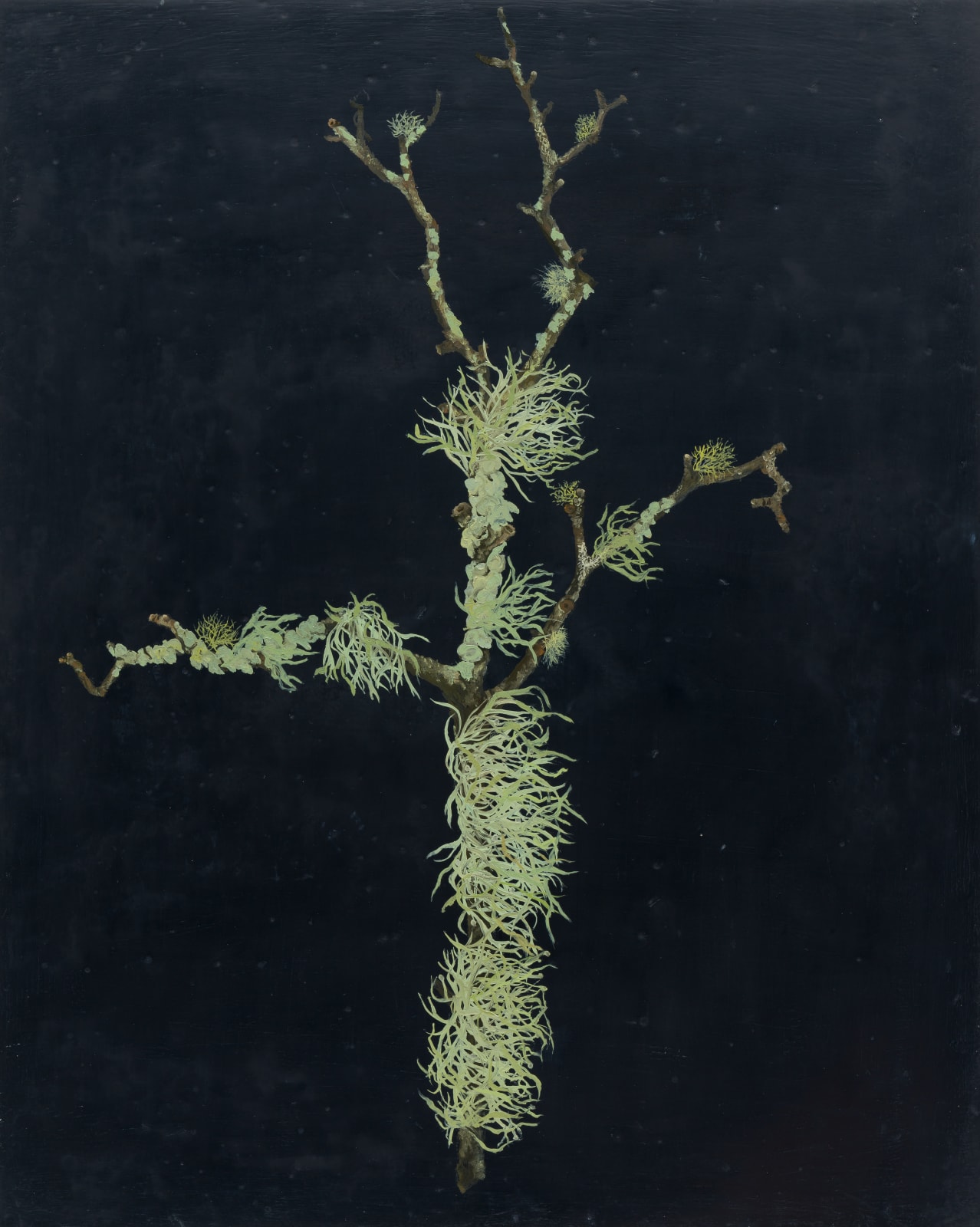 Melanie Miller, Horned Sprite, 2023