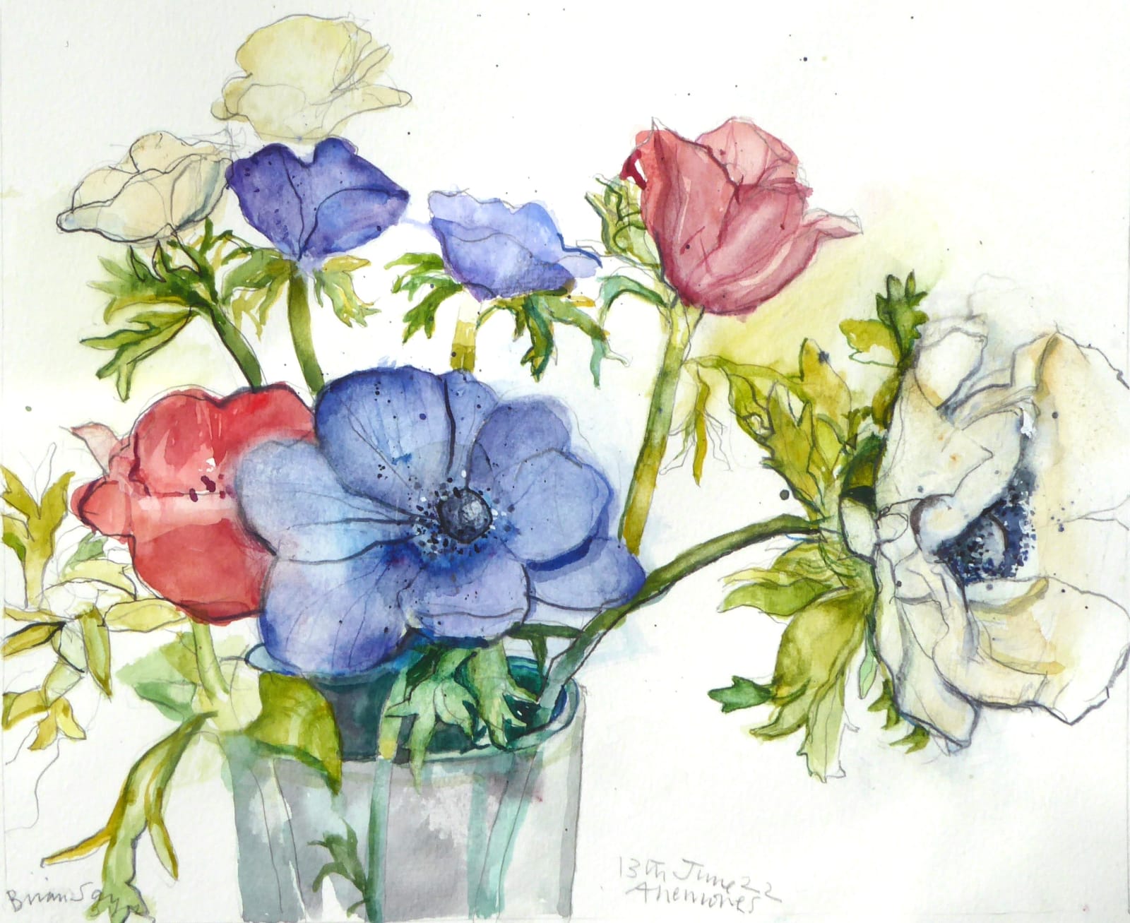 Brian Sayers, Anemones, 2022