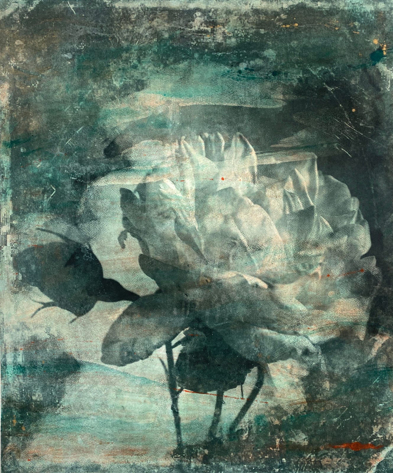 Nick Archer, Green Rose with Pink 2, 2025
