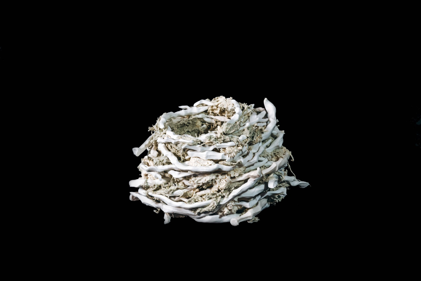 Katharine Morling, Moss Nest - Hedgerow Series, 2023